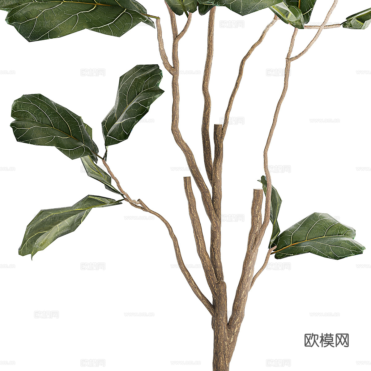 现代北欧绿植盆栽3d模型