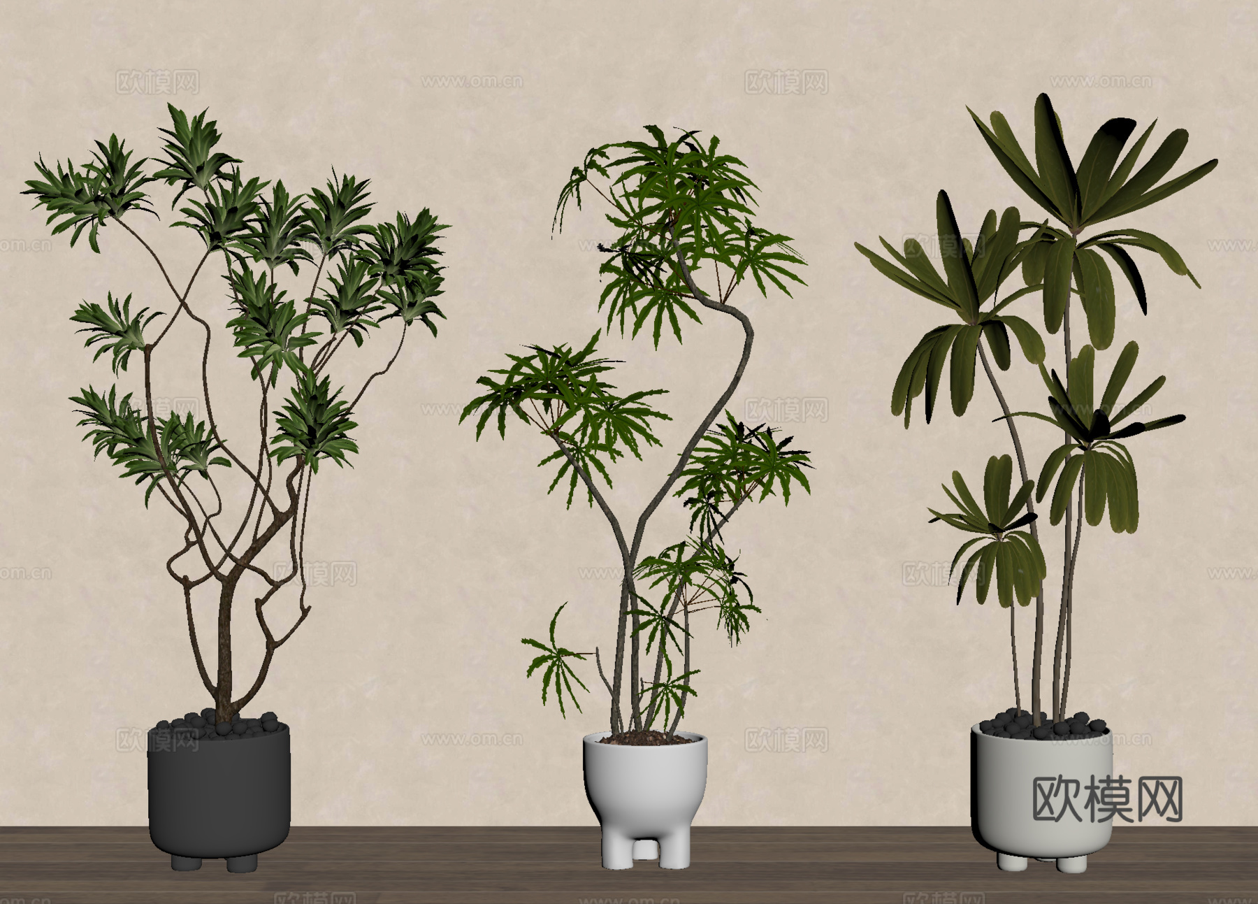 盆栽 盆景 绿植 植物su模型
