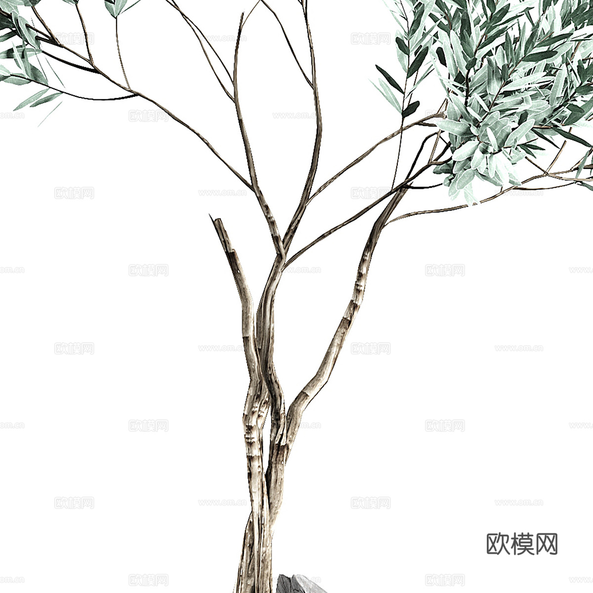 现代侘寂绿植盆栽3d模型