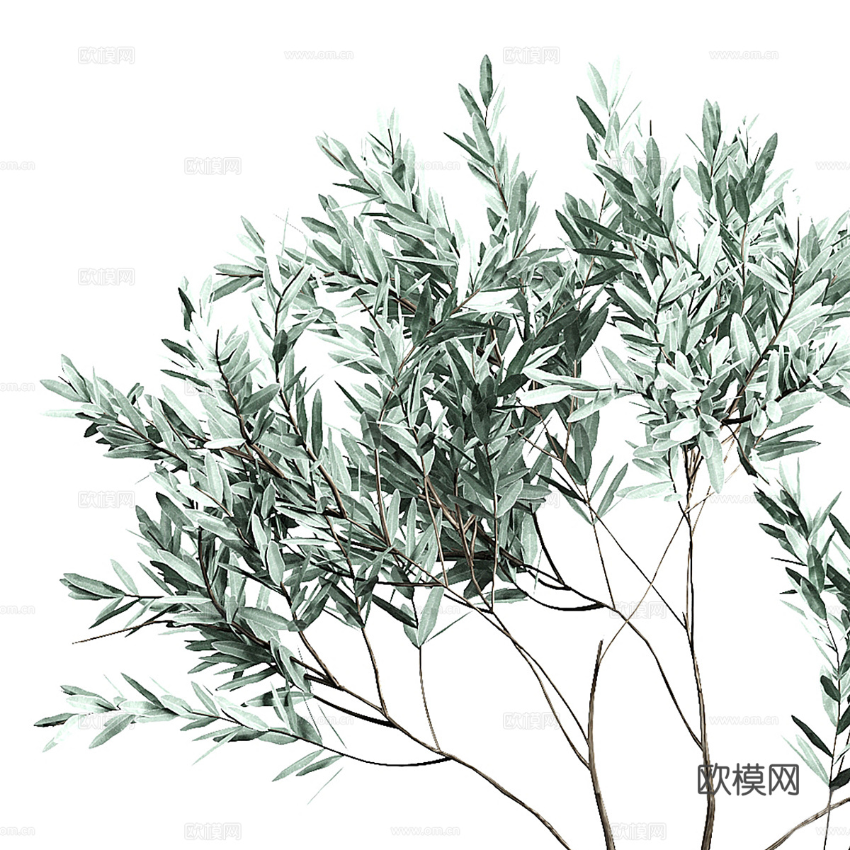 现代侘寂绿植盆栽3d模型
