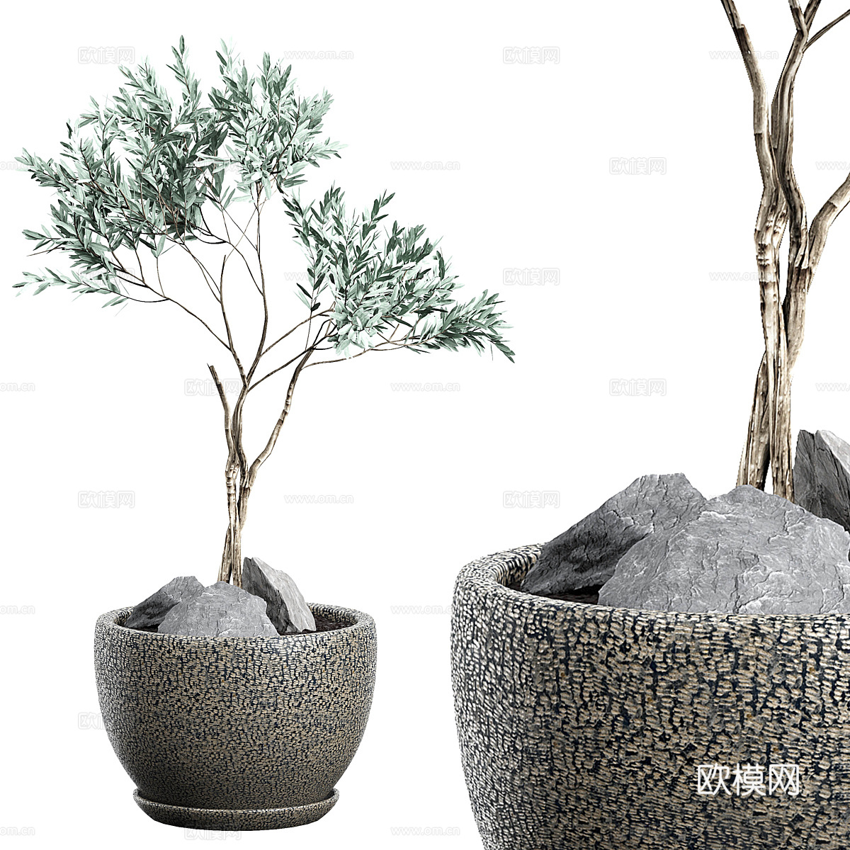 现代侘寂绿植盆栽3d模型