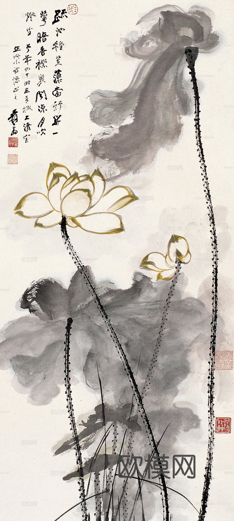 国画 风景画 荷花