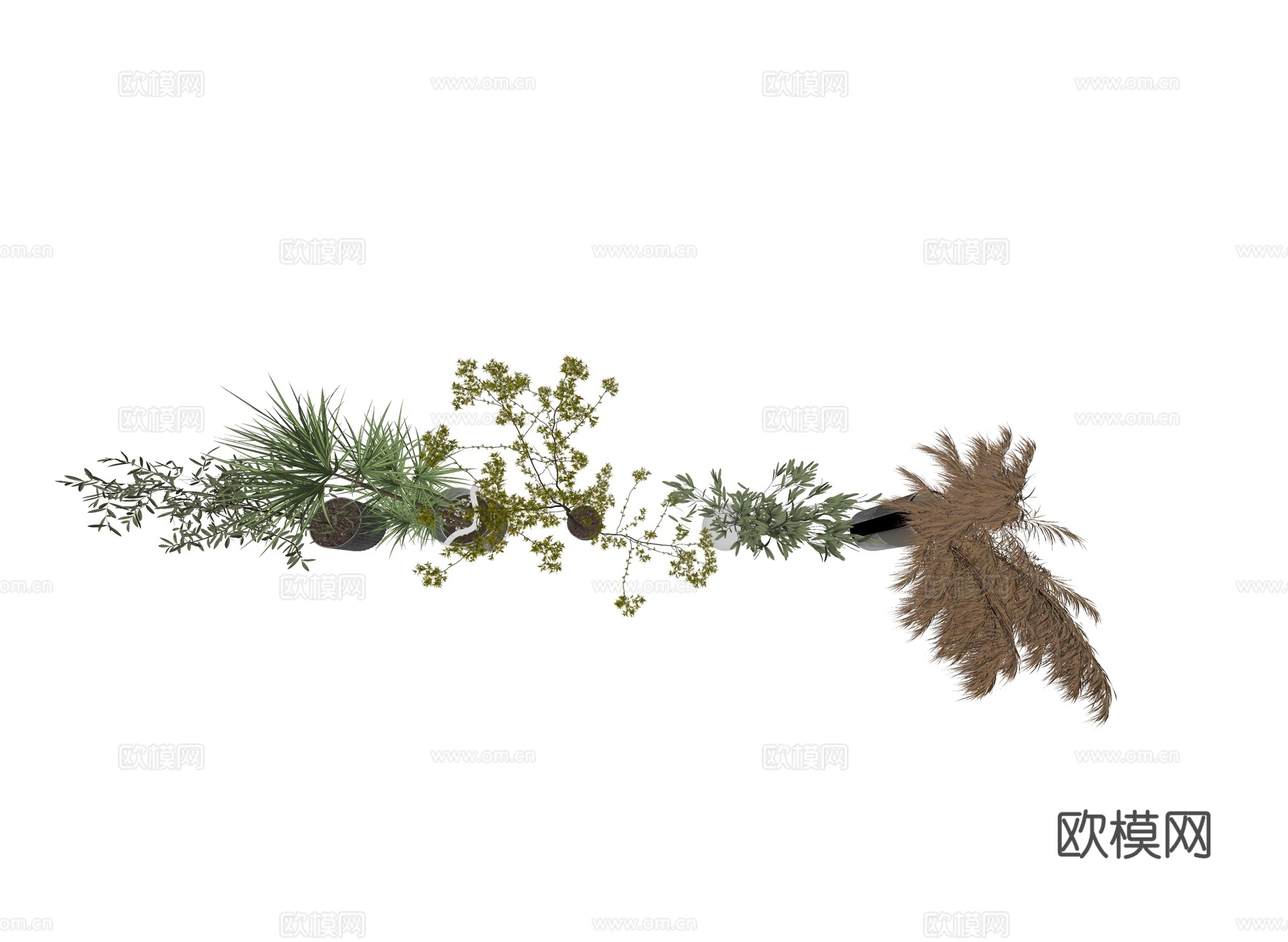 盆栽 办公室盆栽 绿植盆栽 麦穗枯枝摆件 花瓶绿植 绿植造景su模型