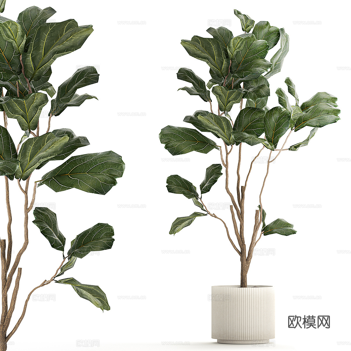 现代北欧绿植盆栽3d模型