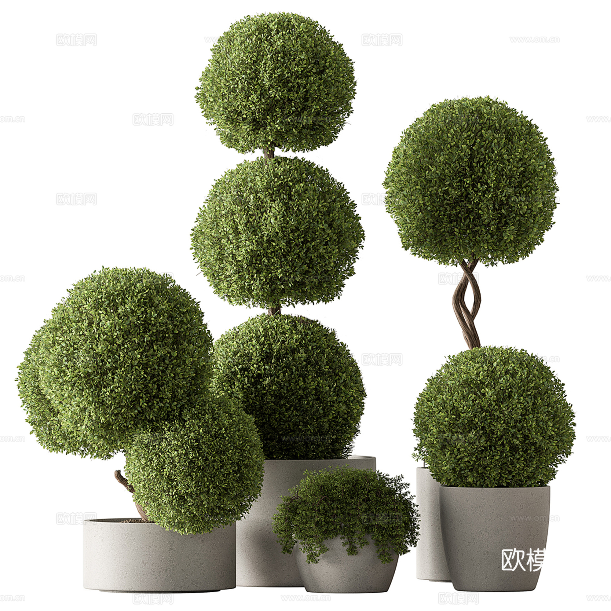 现代户外绿植盆栽su模型