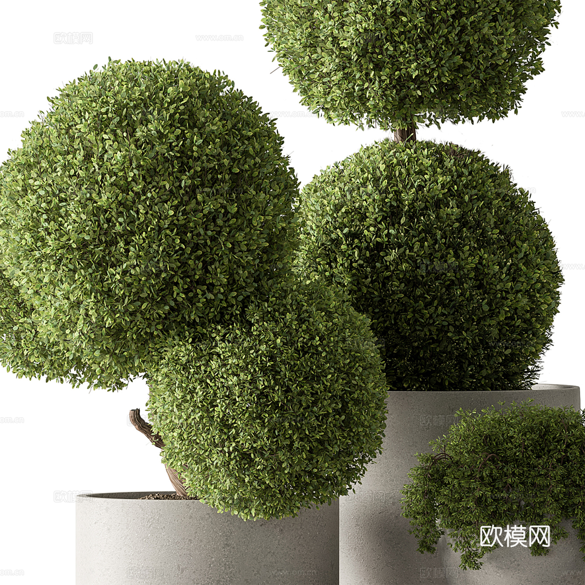 现代户外绿植盆栽su模型