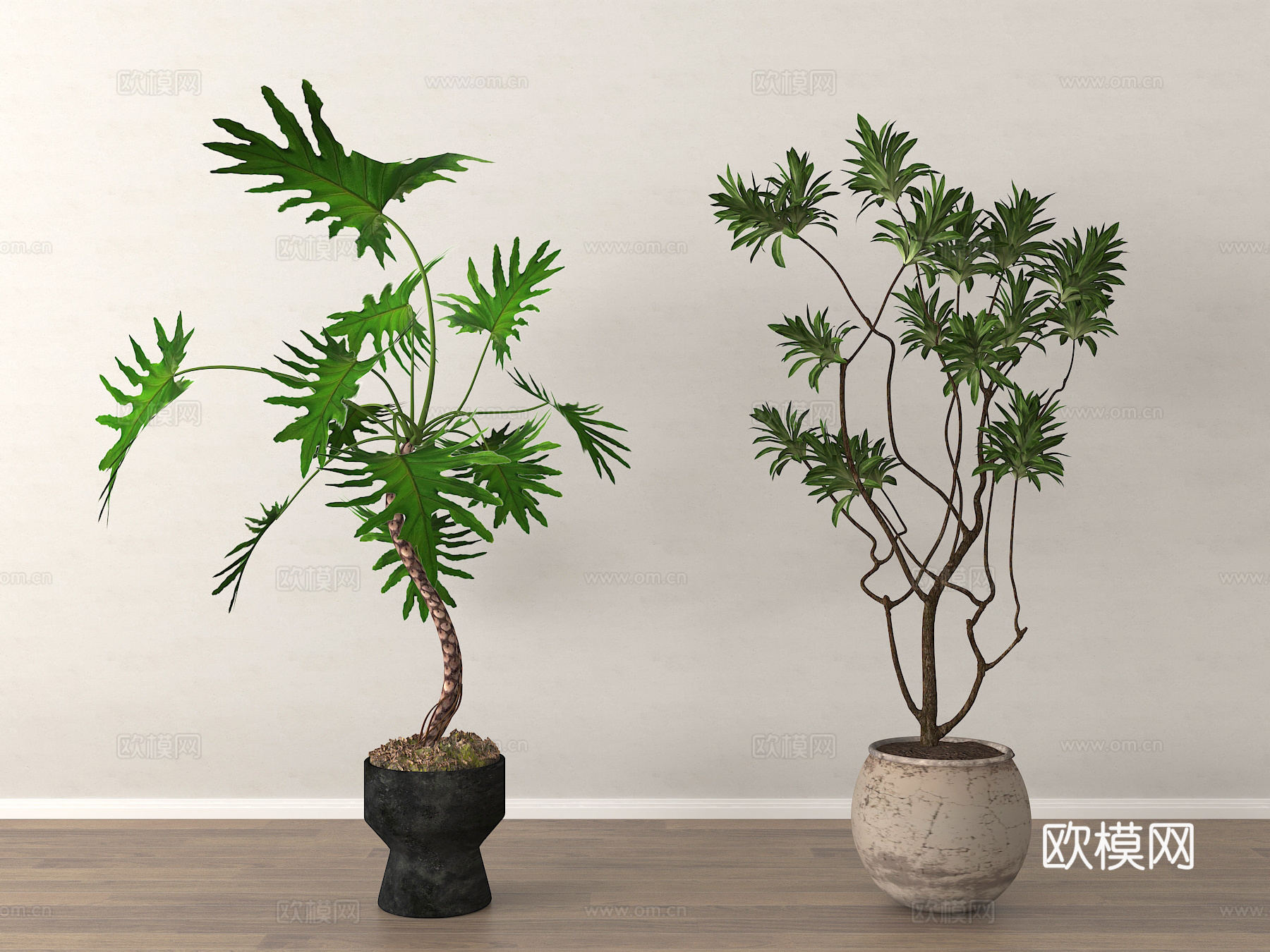 盆景 盆栽 绿植 植物3d模型