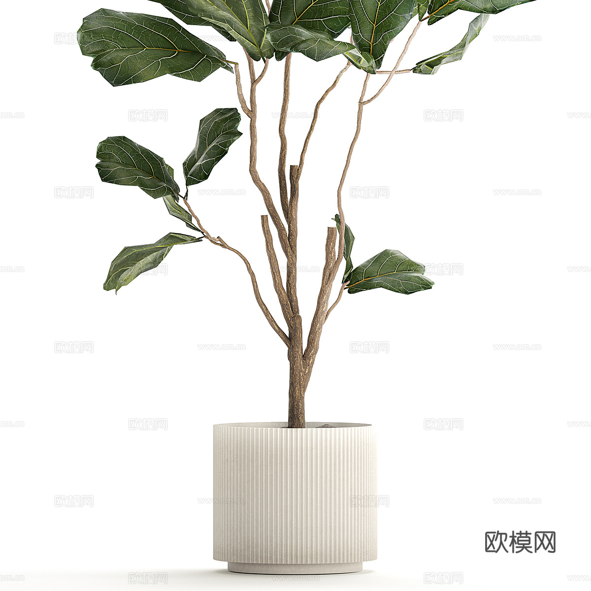 现代北欧绿植盆栽3d模型