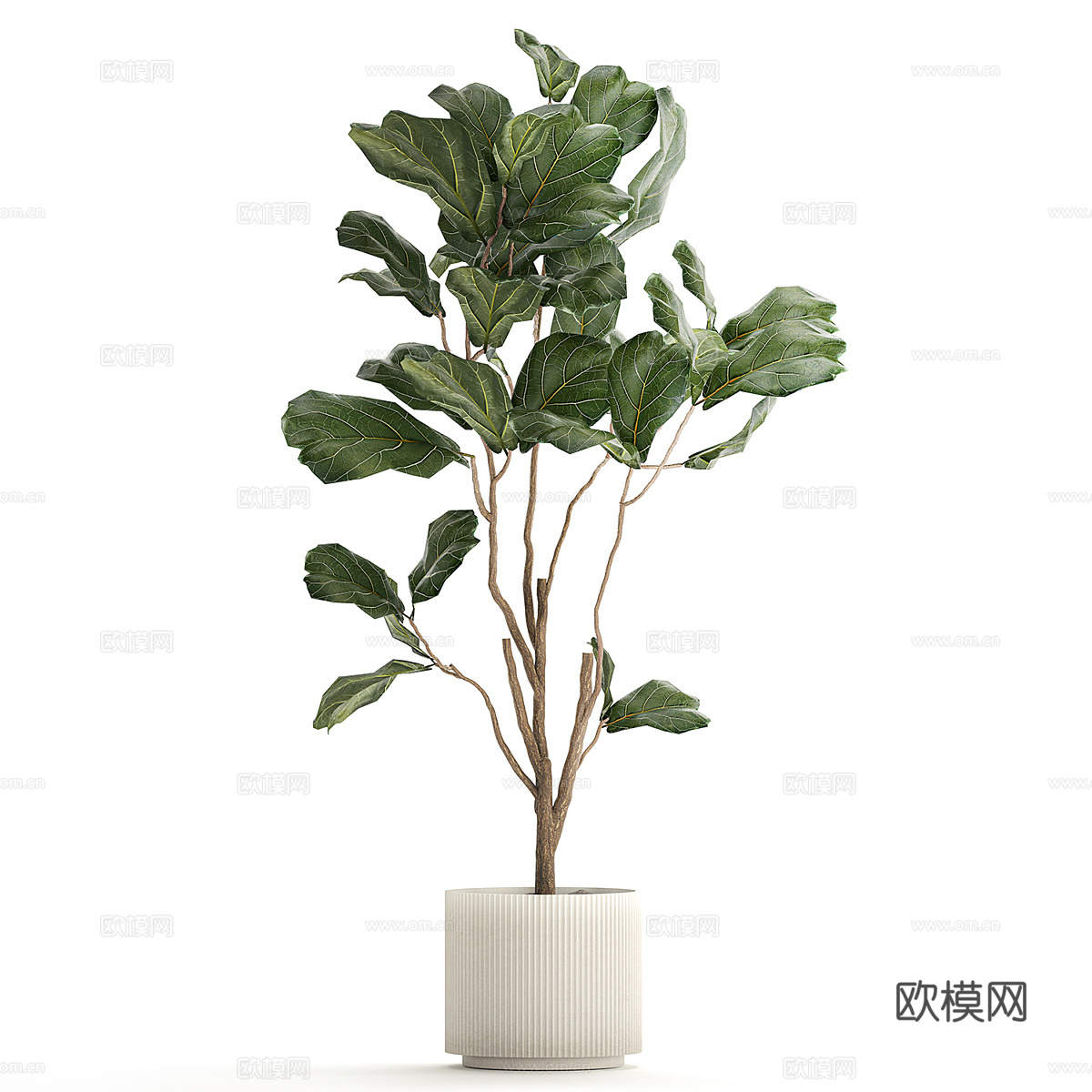 现代北欧绿植盆栽3d模型