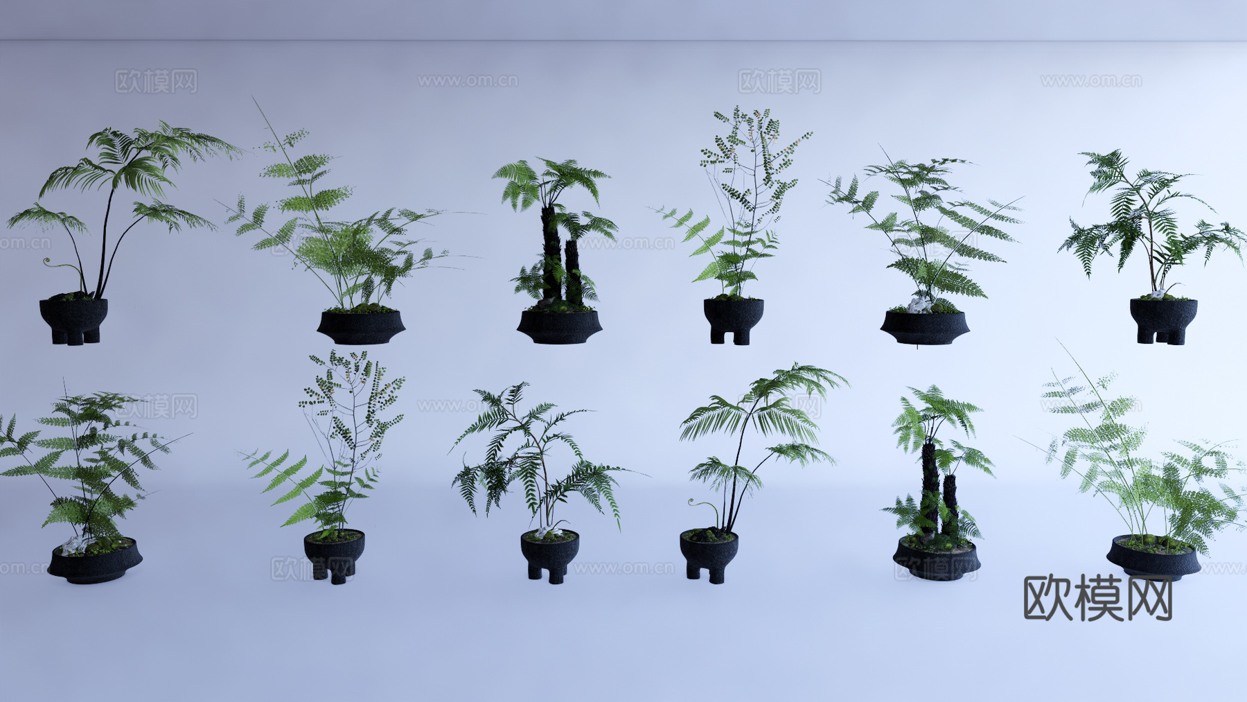 盆栽 盆栽 禅意盆景su模型
