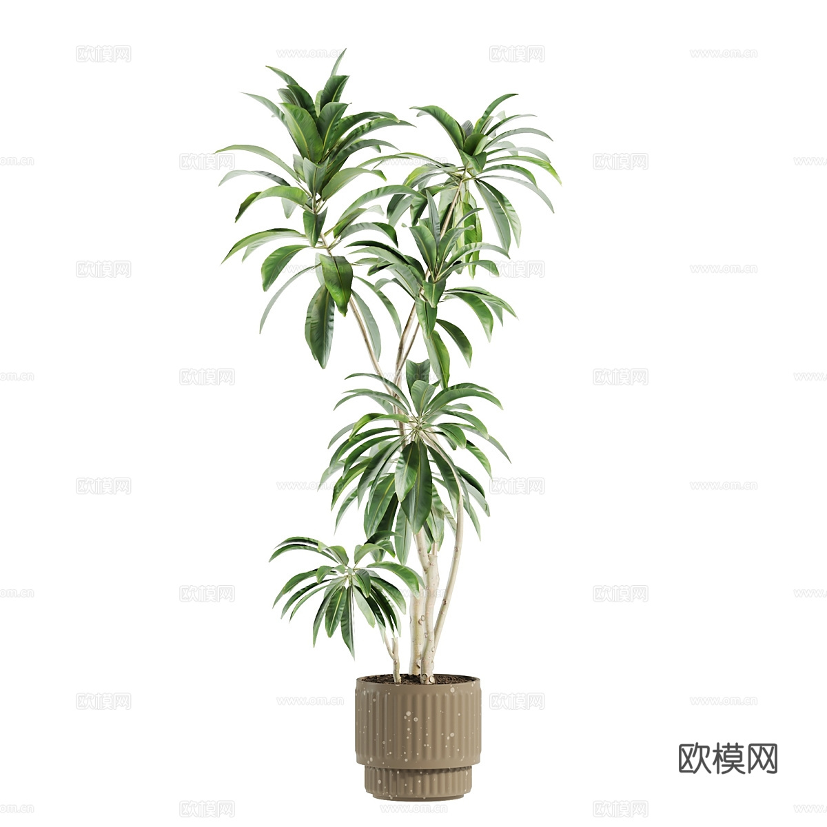 现代侘寂绿植盆栽3d模型
