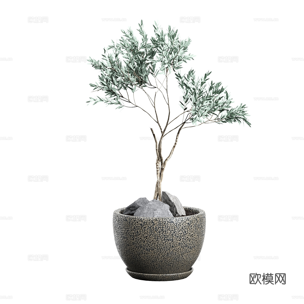 现代侘寂绿植盆栽3d模型
