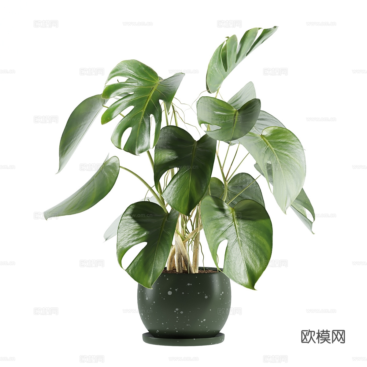 现代北欧绿植盆栽3d模型