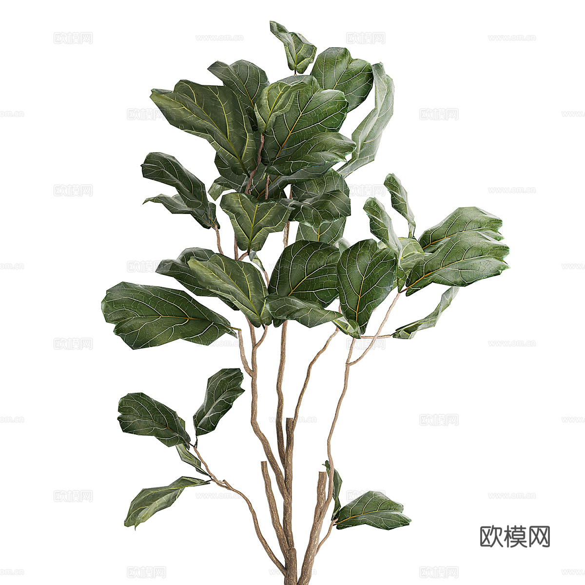 现代北欧绿植盆栽3d模型