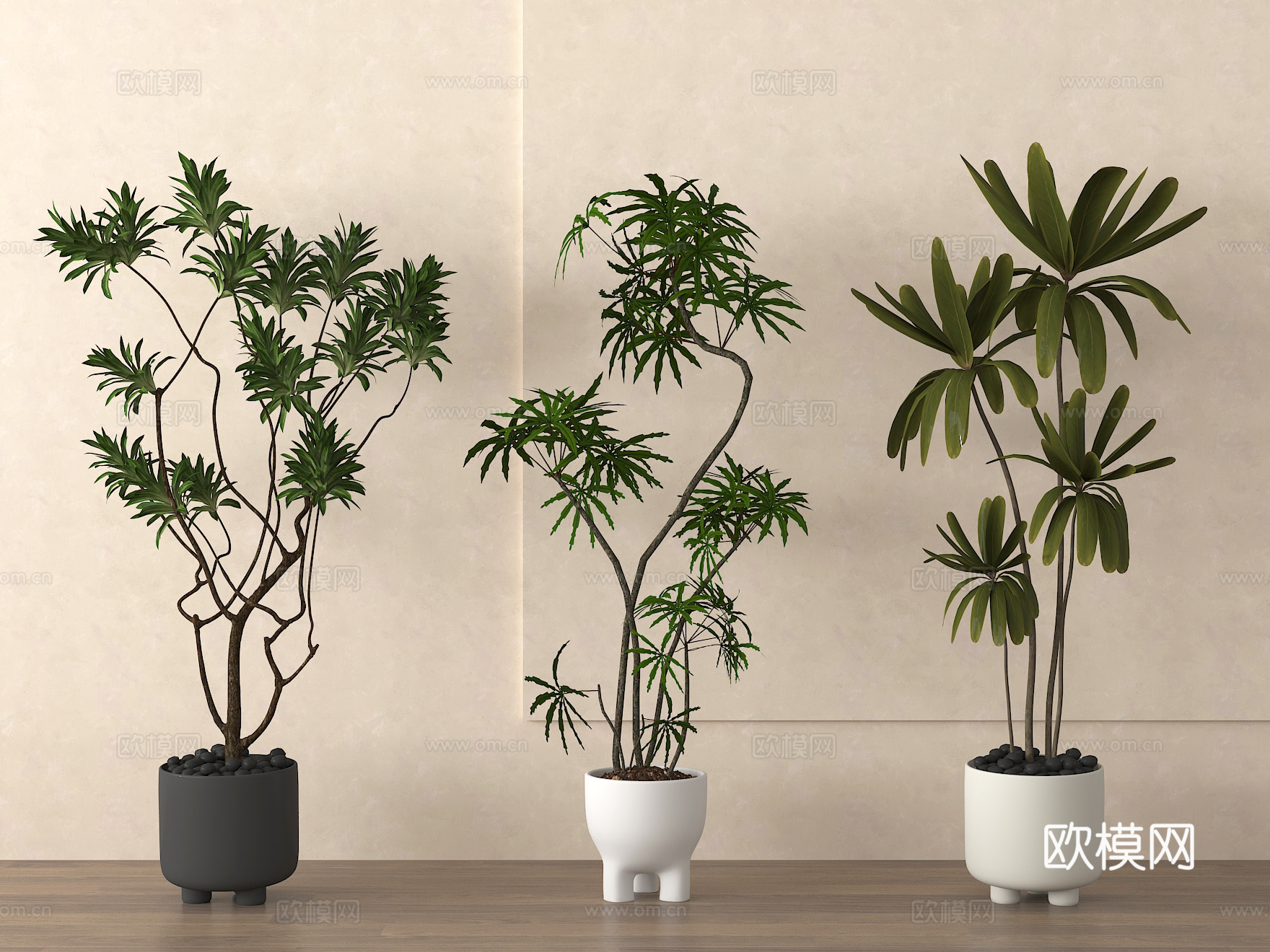 盆栽 盆景 绿植 植物su模型