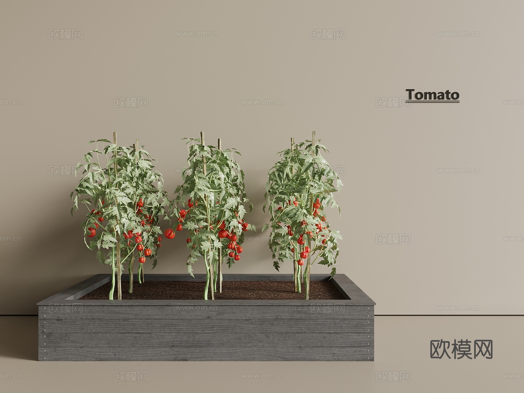 农作物 西红柿 西红柿苗 番茄 蔬菜3d模型