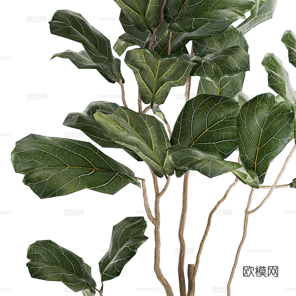 现代北欧绿植盆栽3d模型