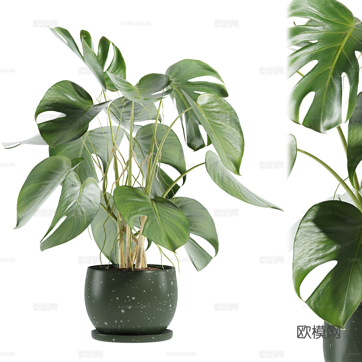 现代北欧绿植盆栽3d模型