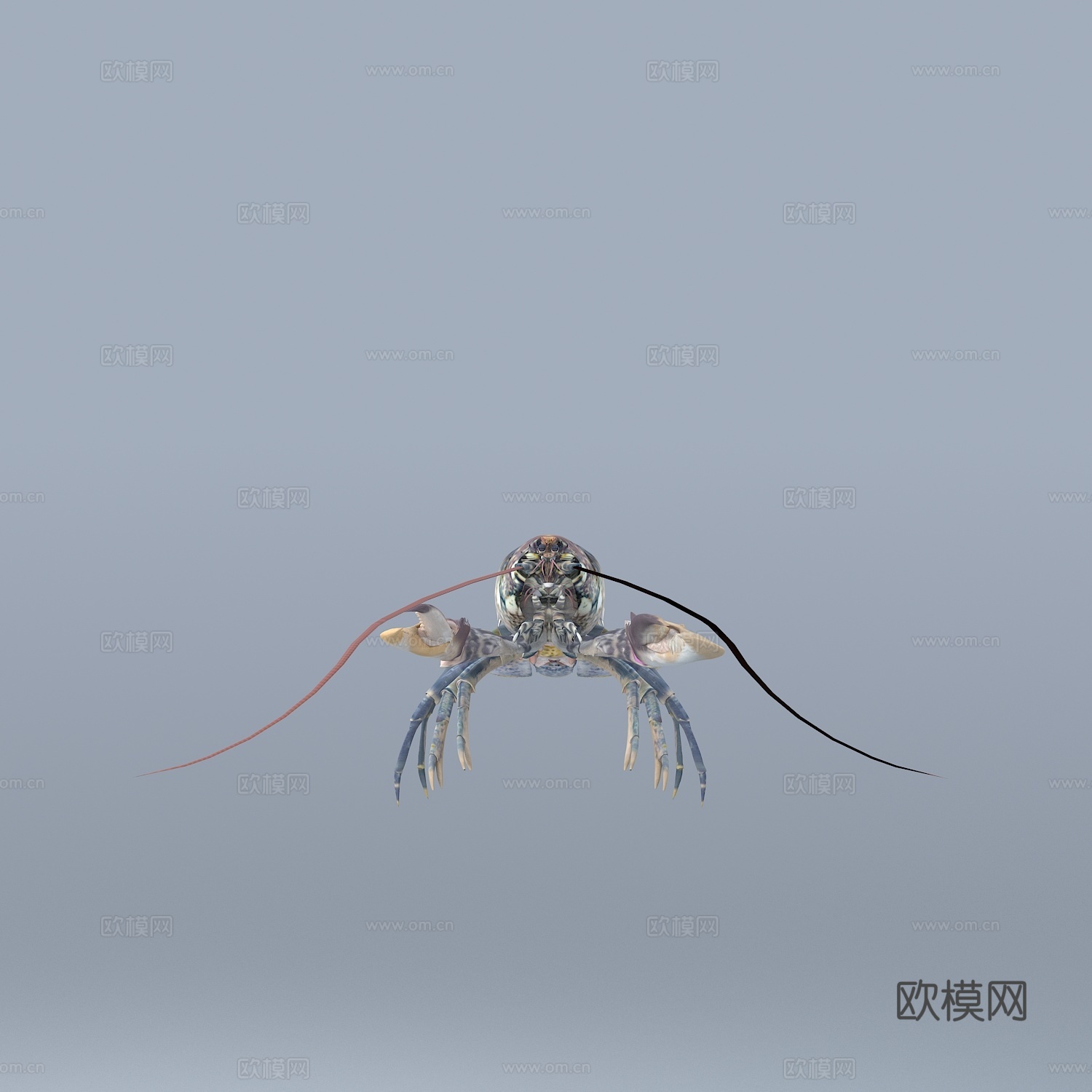 龙虾 动物 食物 海鲜3d模型