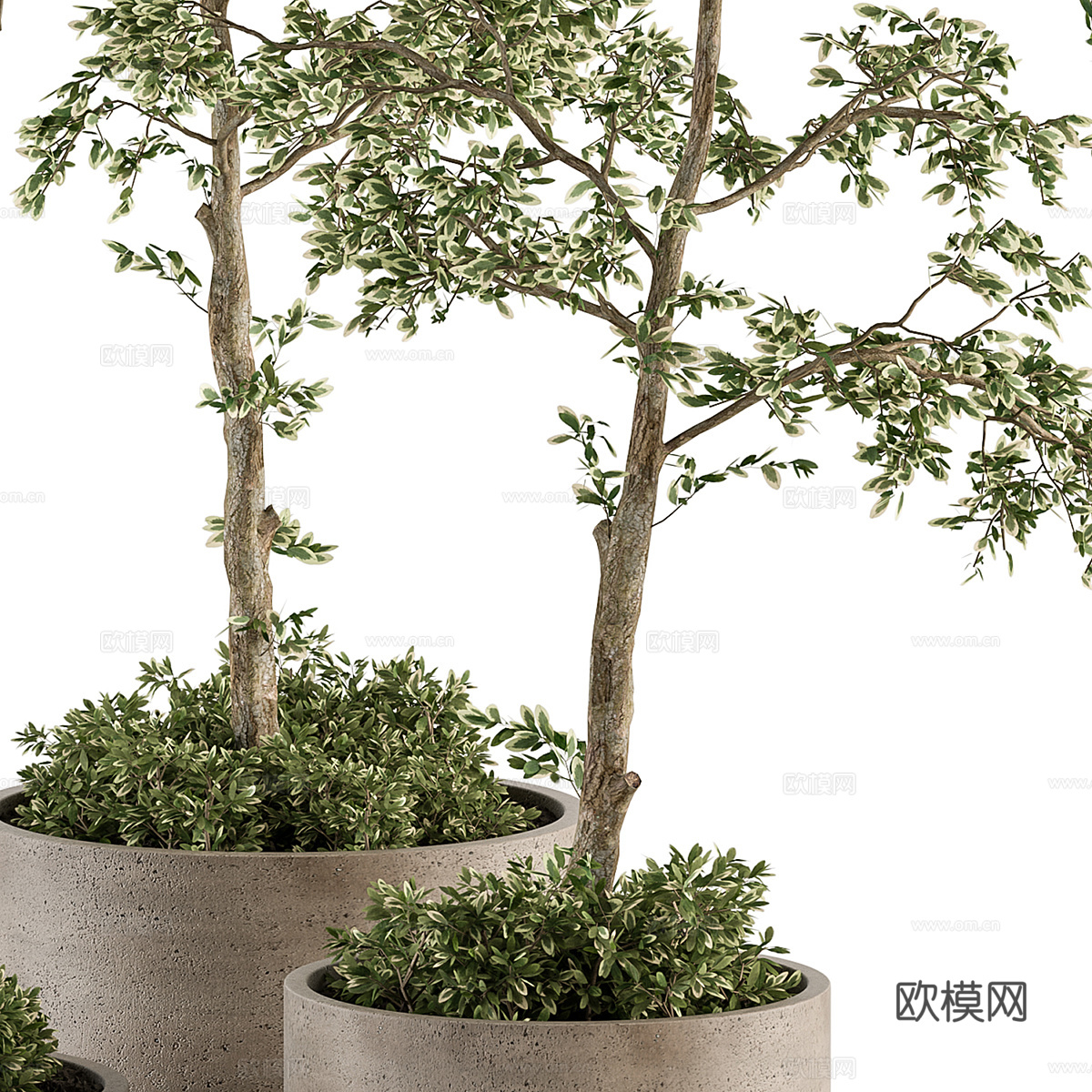 新中式侘寂绿植盆栽3d模型