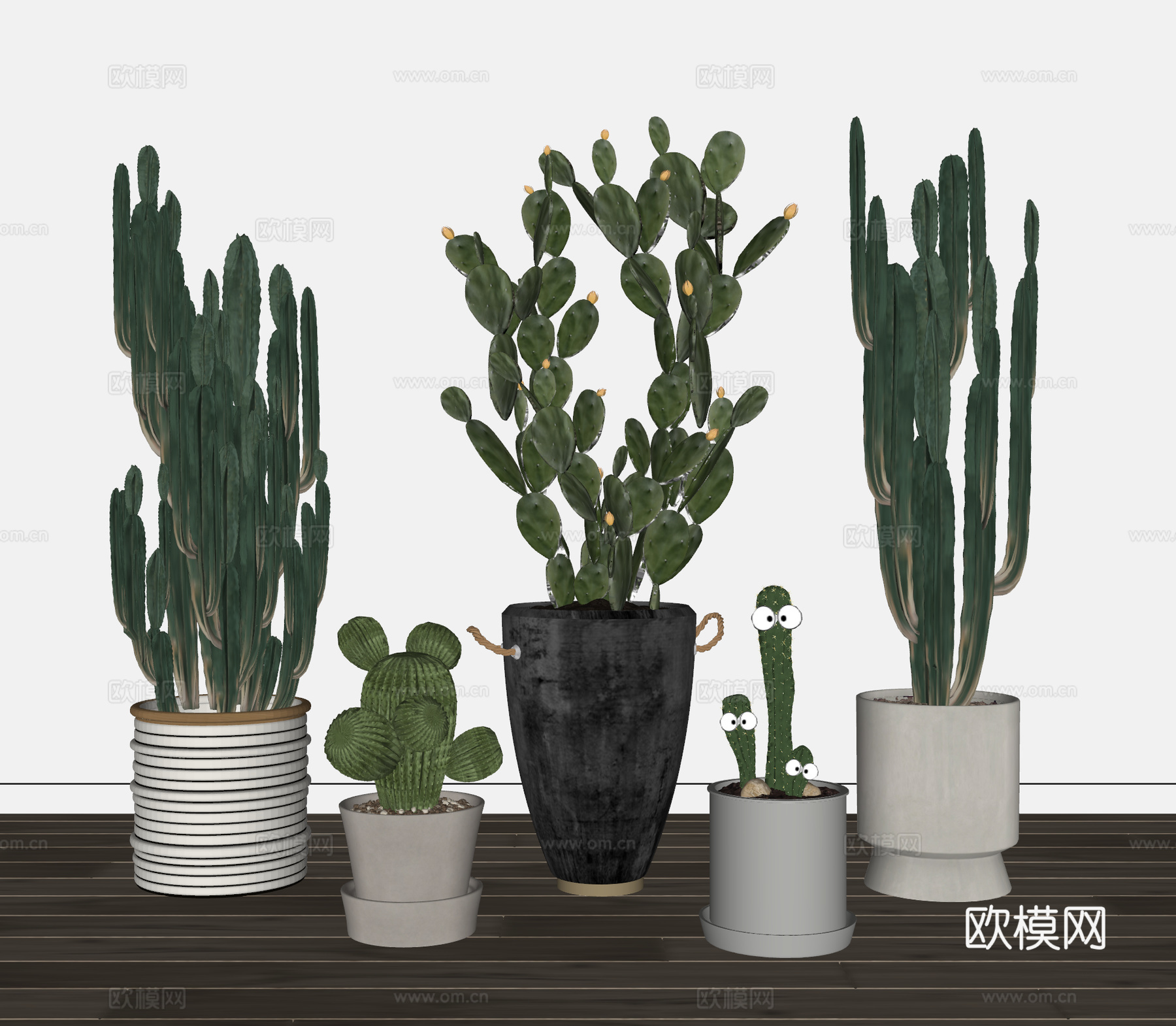 现代 北欧仙人掌盆栽组合 盆景 仙人球  绿植su模型
