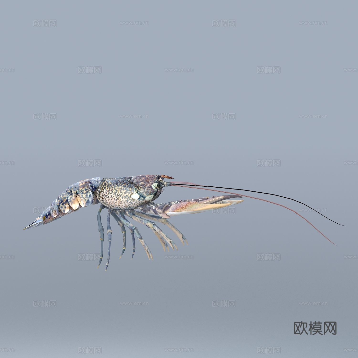 龙虾 动物 食物 海鲜3d模型