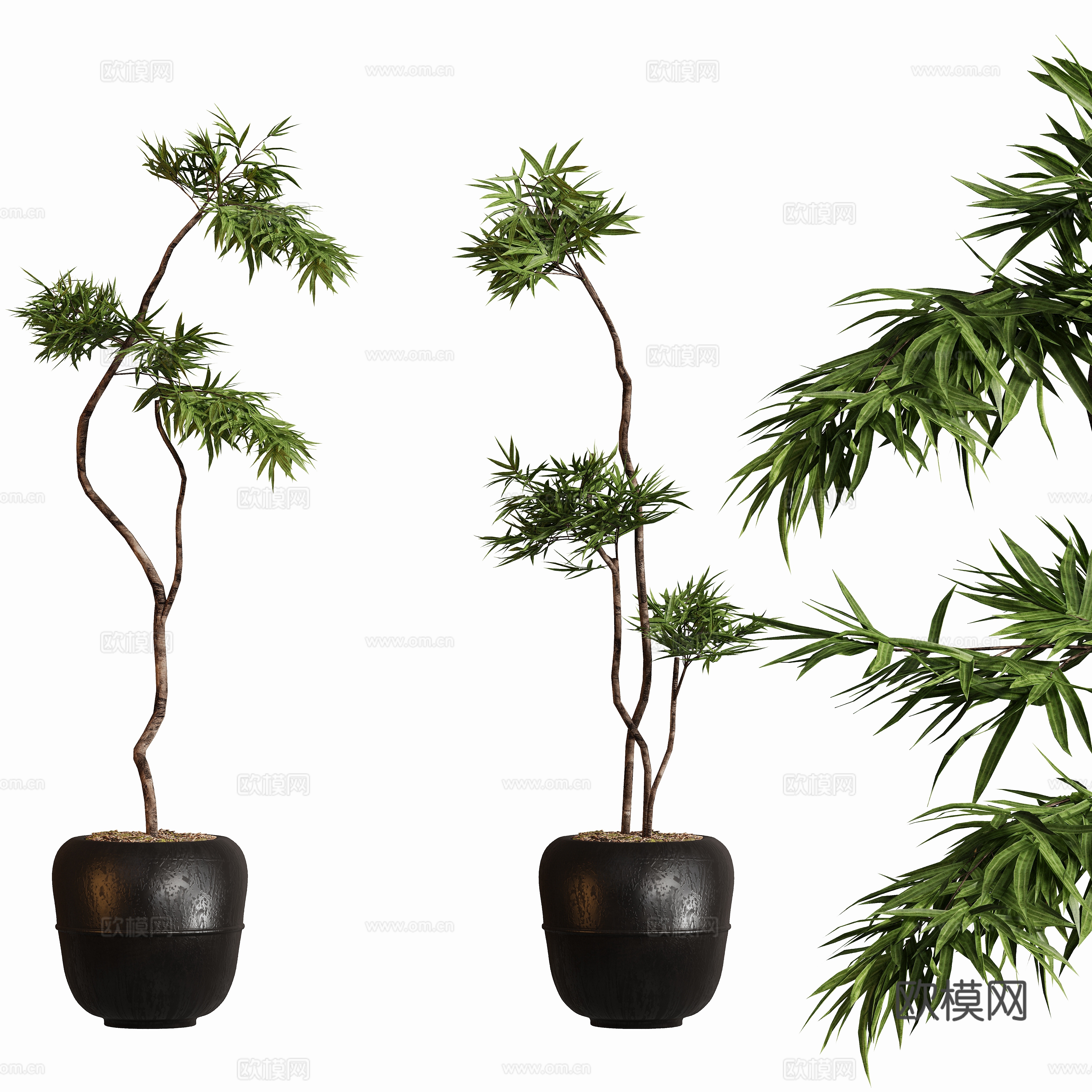 现代中古盆栽植物摆件su模型