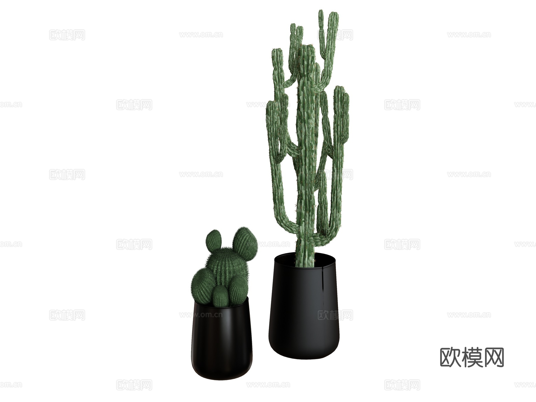 盆栽植物仙人掌su模型
