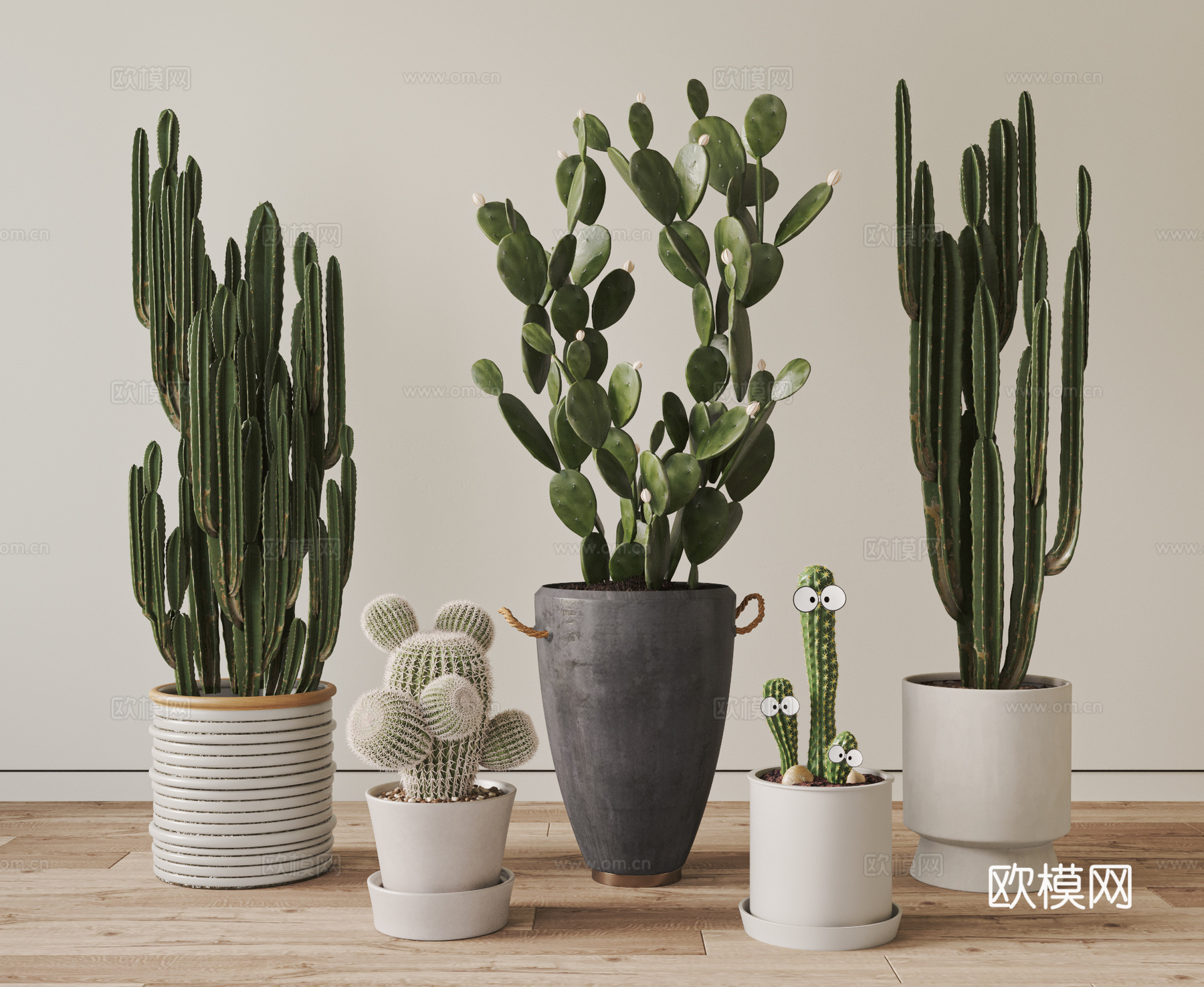 现代 北欧仙人掌盆栽组合 盆景 仙人球  绿植su模型