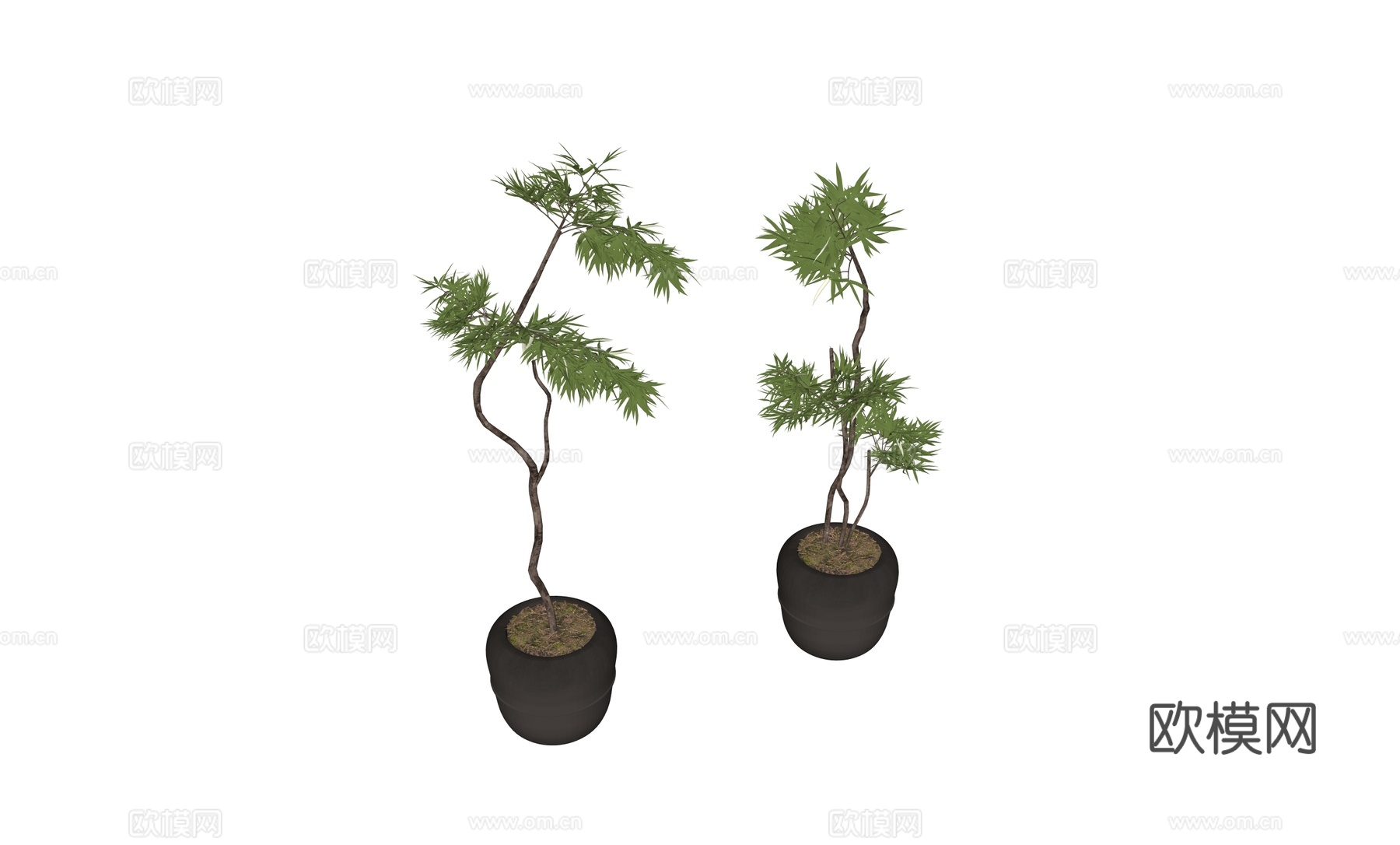 现代中古盆栽植物摆件su模型