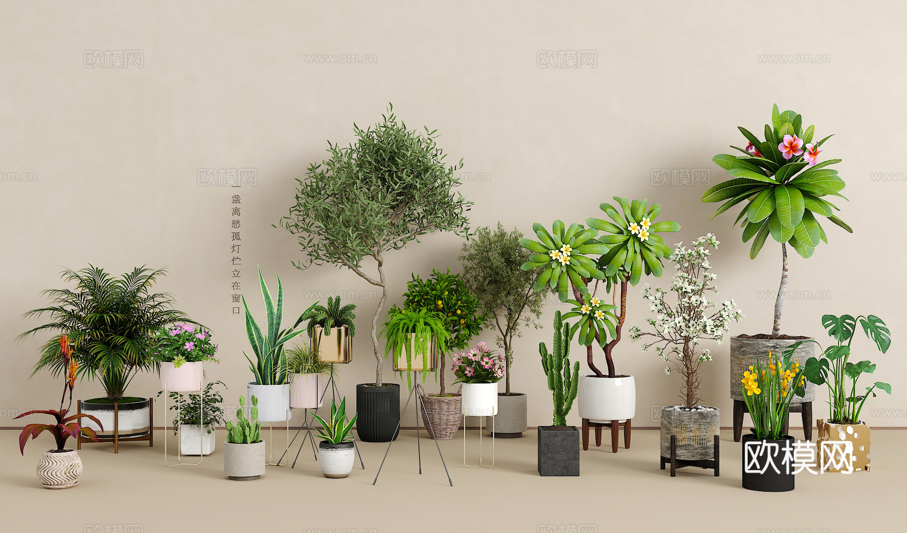 绿植盆栽组合3d模型
