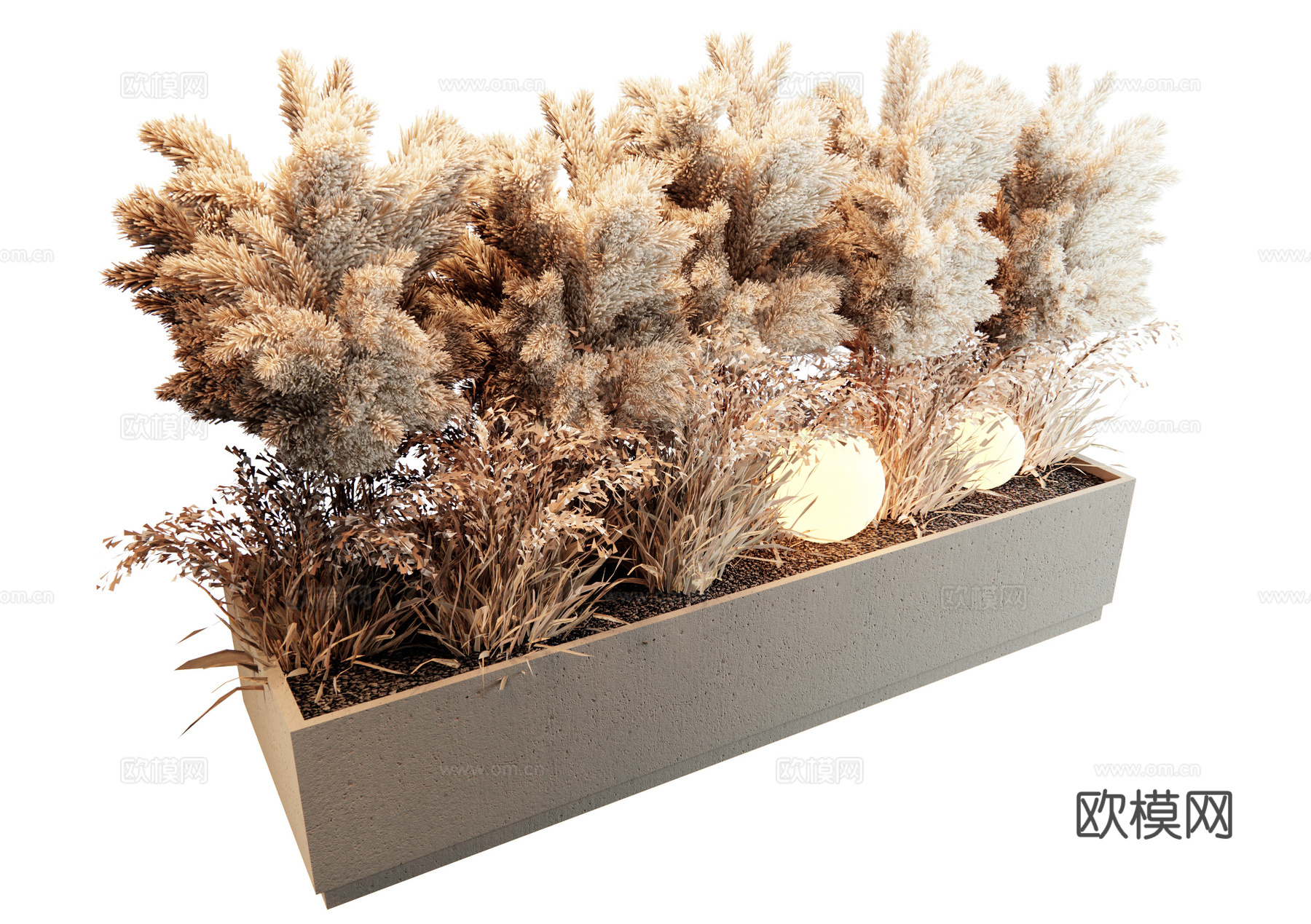 现代芦苇植物组合 花箱 植物堆 花草 干花干草3d模型