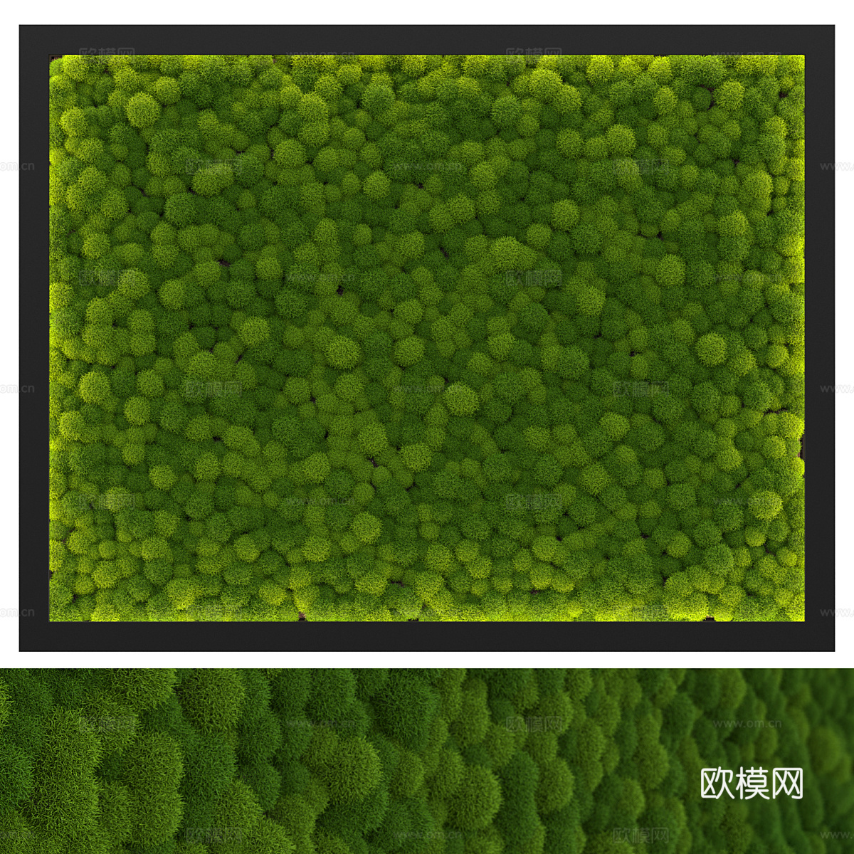绿植墙 植物墙 苔藓3d模型