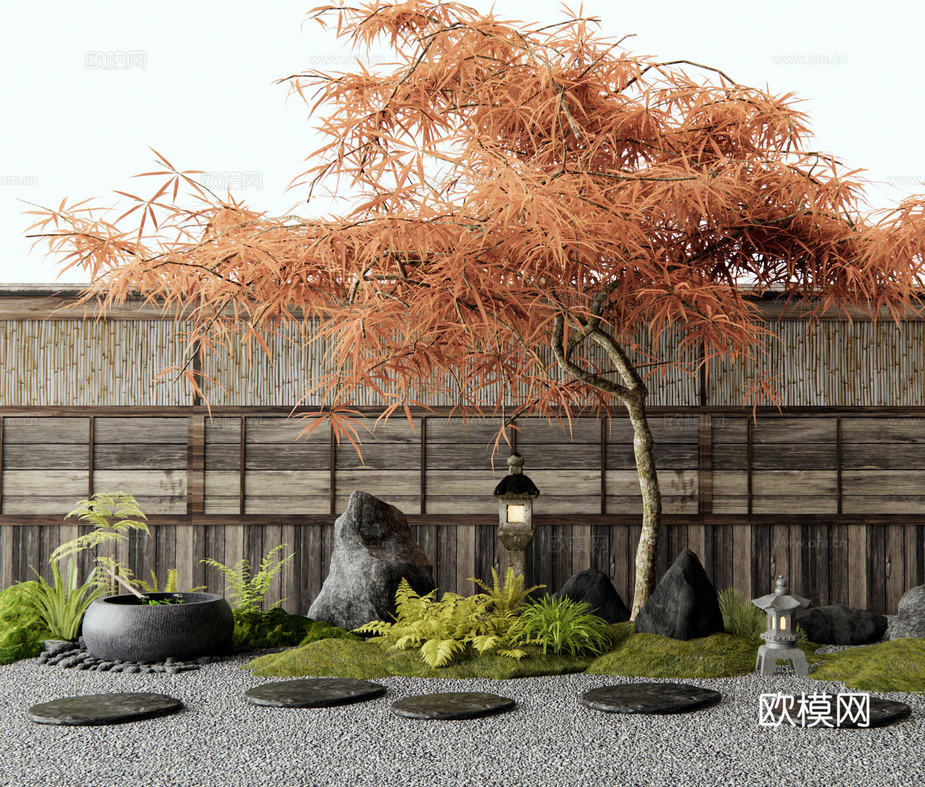 日式羽毛枫 红枫 乔木 景观树 庭院景观小品 水钵 汀步3d模型