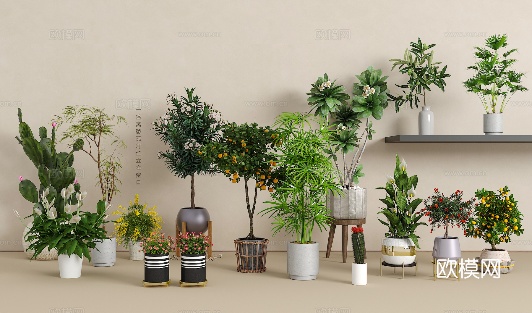 绿植盆栽组合3d模型