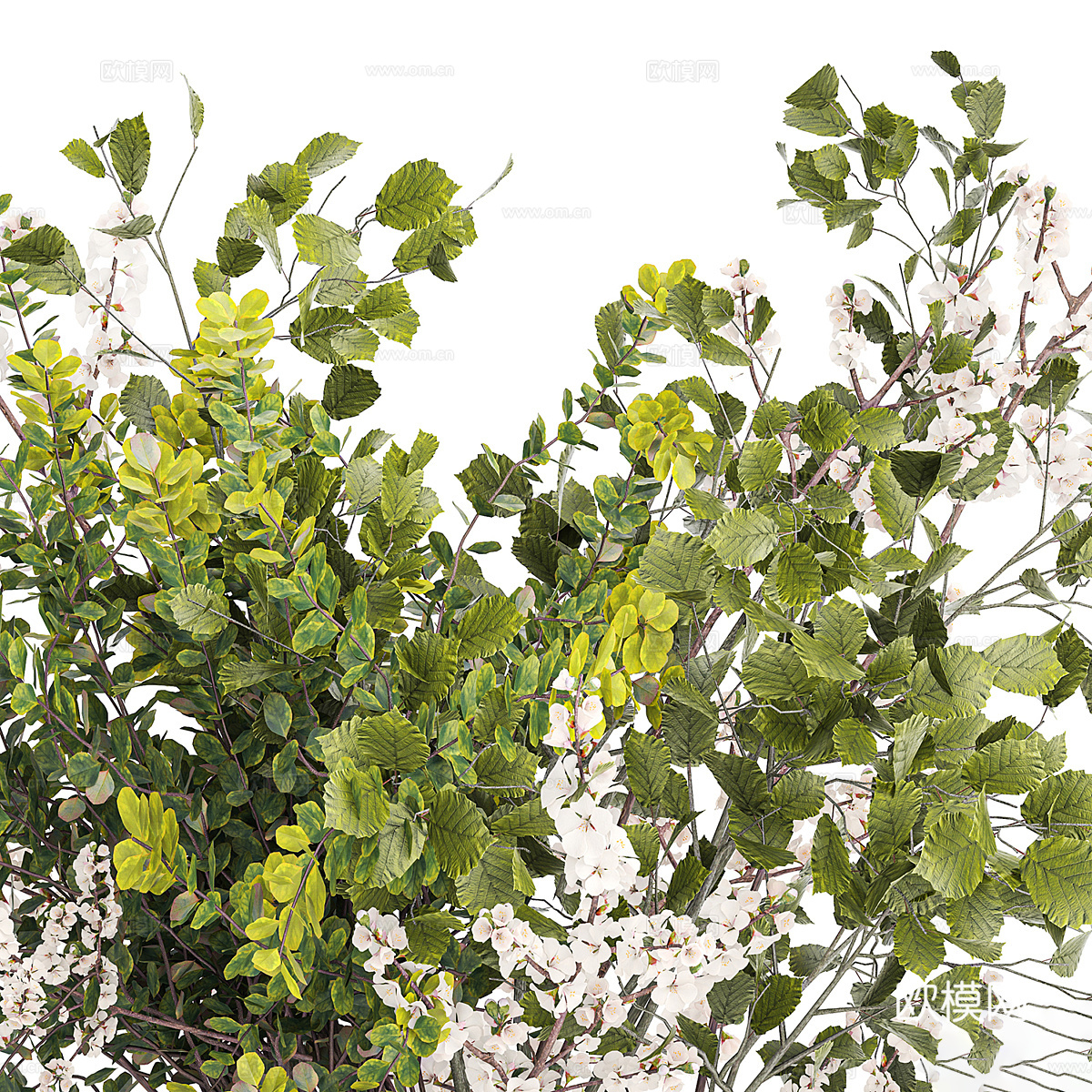 现代樱花花束 花瓶 花艺3d模型