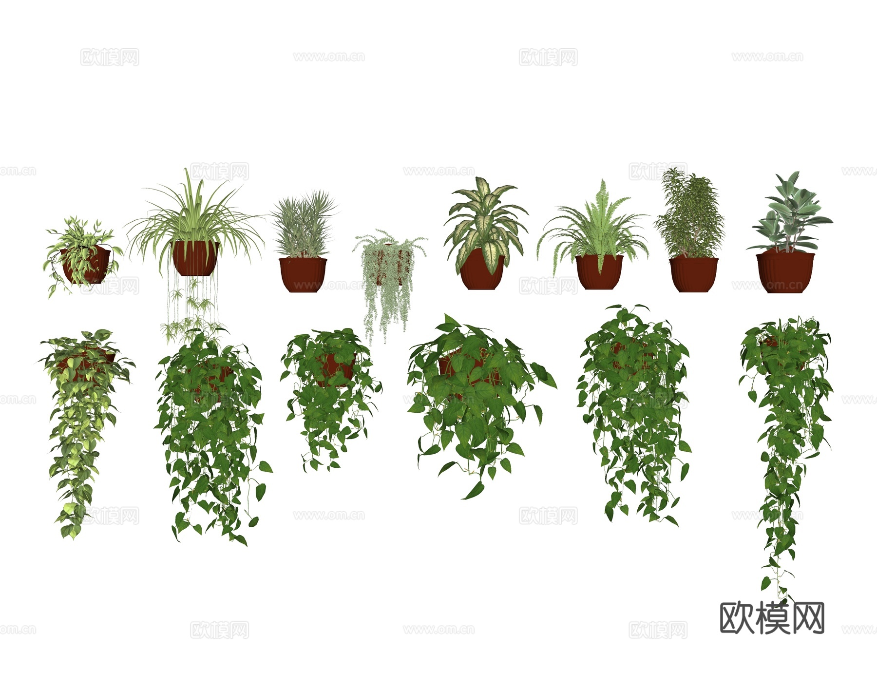 现代盆栽绿植 爬藤植物 吊篮壁挂植物su模型