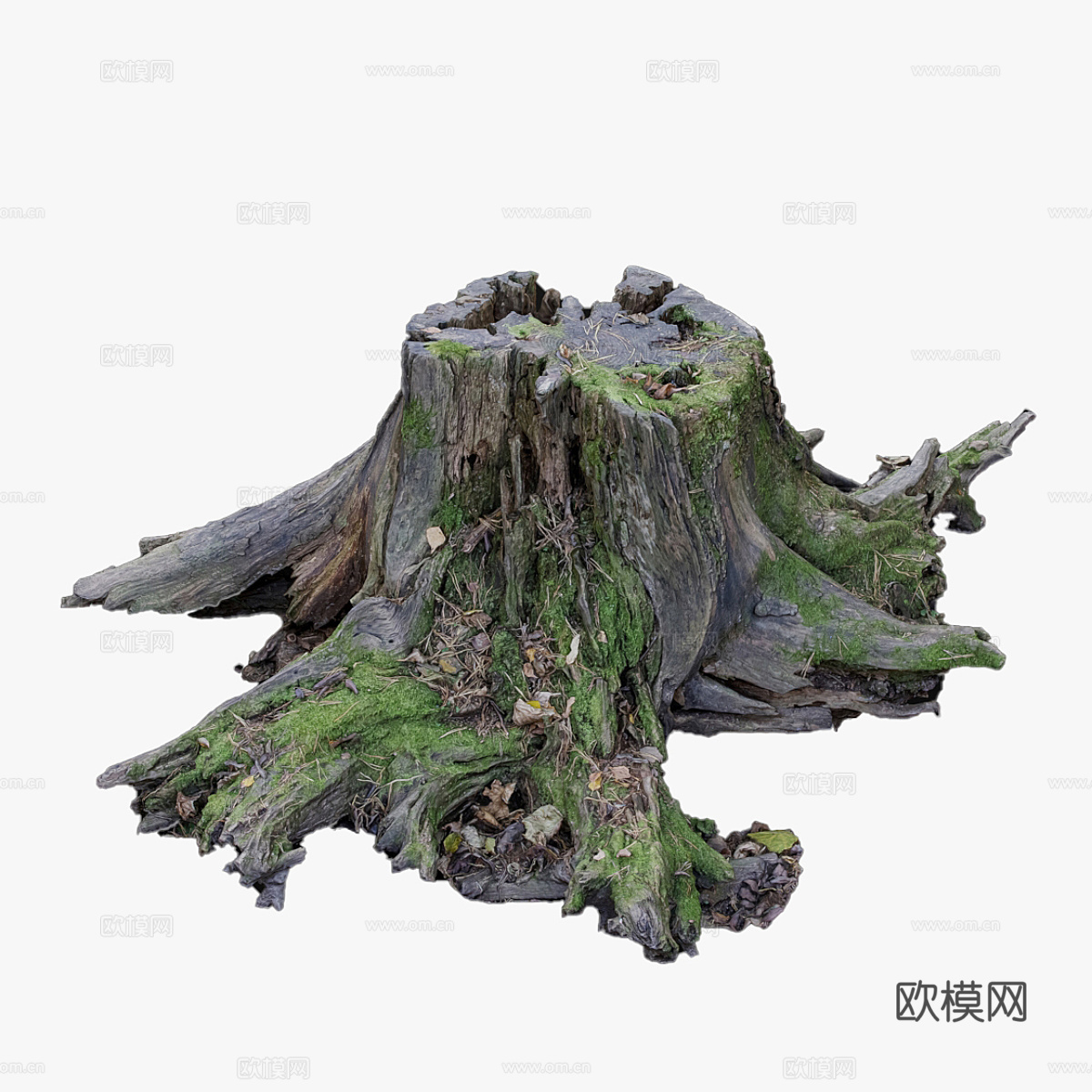 树桩3d模型
