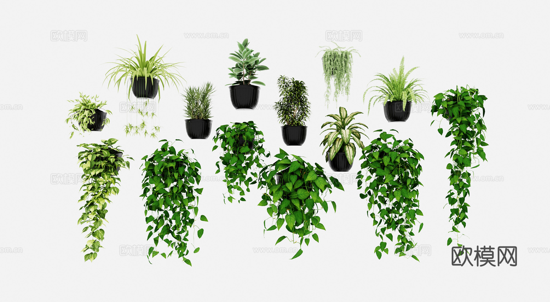 现代盆栽绿植 爬藤植物 吊篮壁挂植物组合3d模型