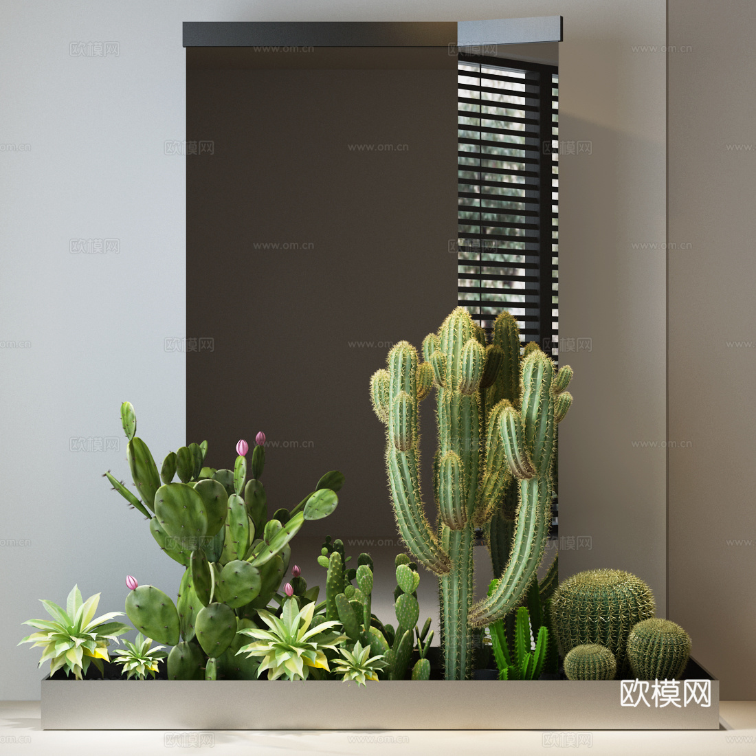 植物堆 仙人球 仙人掌 装饰镜3d模型
