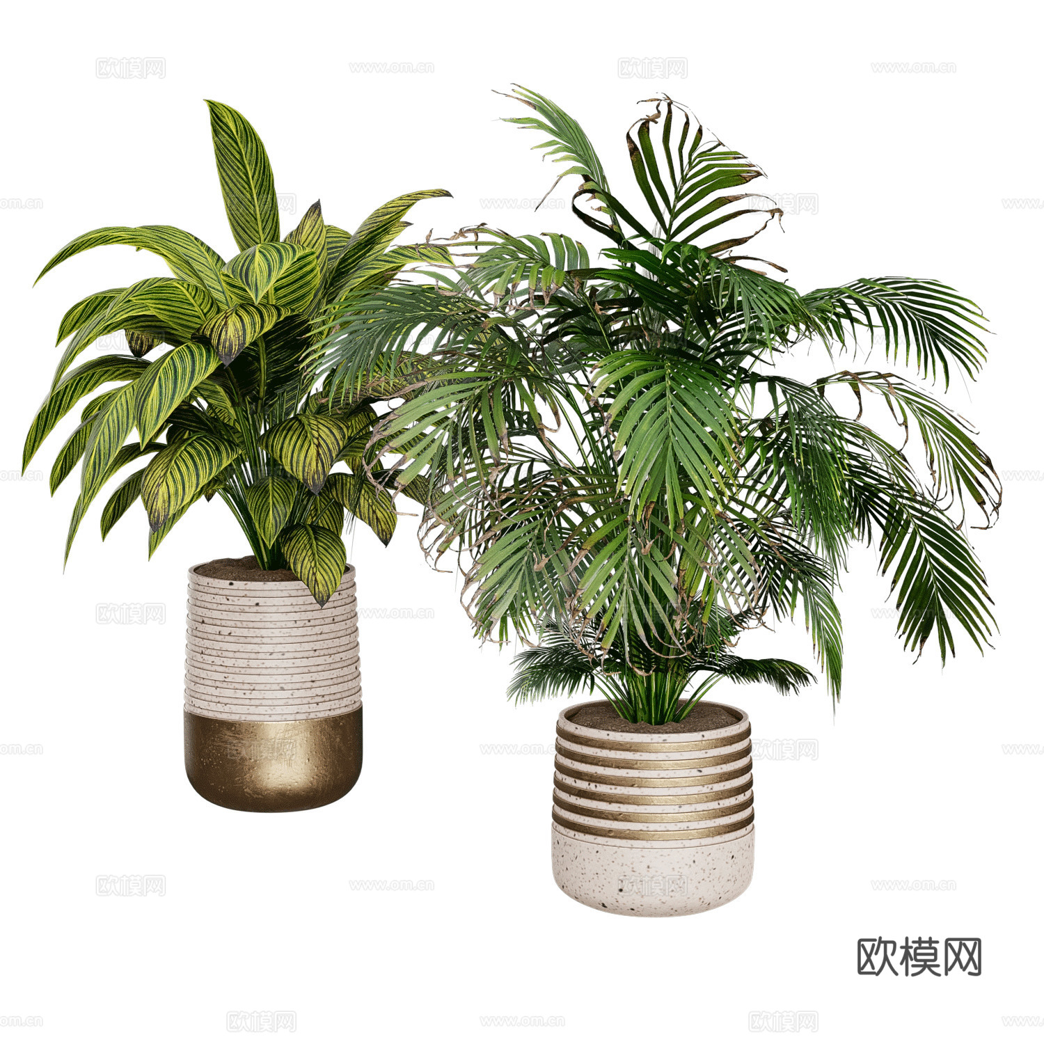 现代轻奢绿植盆栽3d模型