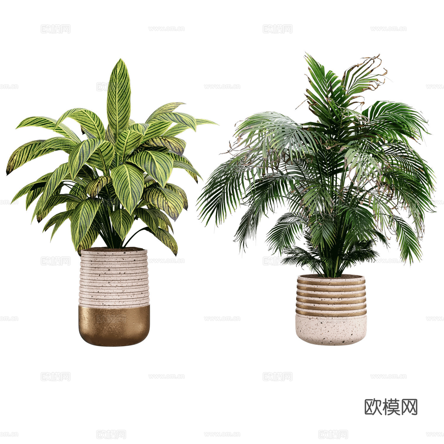 现代轻奢绿植盆栽3d模型