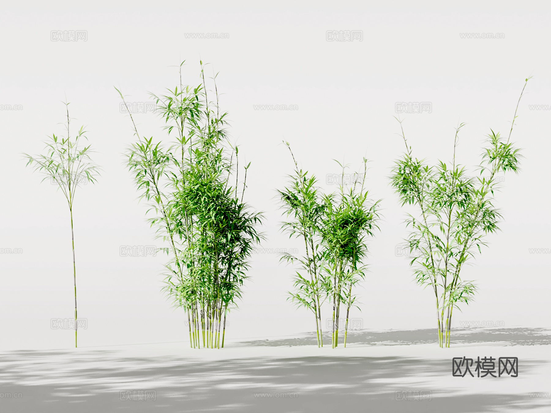 新中式景观竹子 景观竹 竹子 园艺竹子3d模型