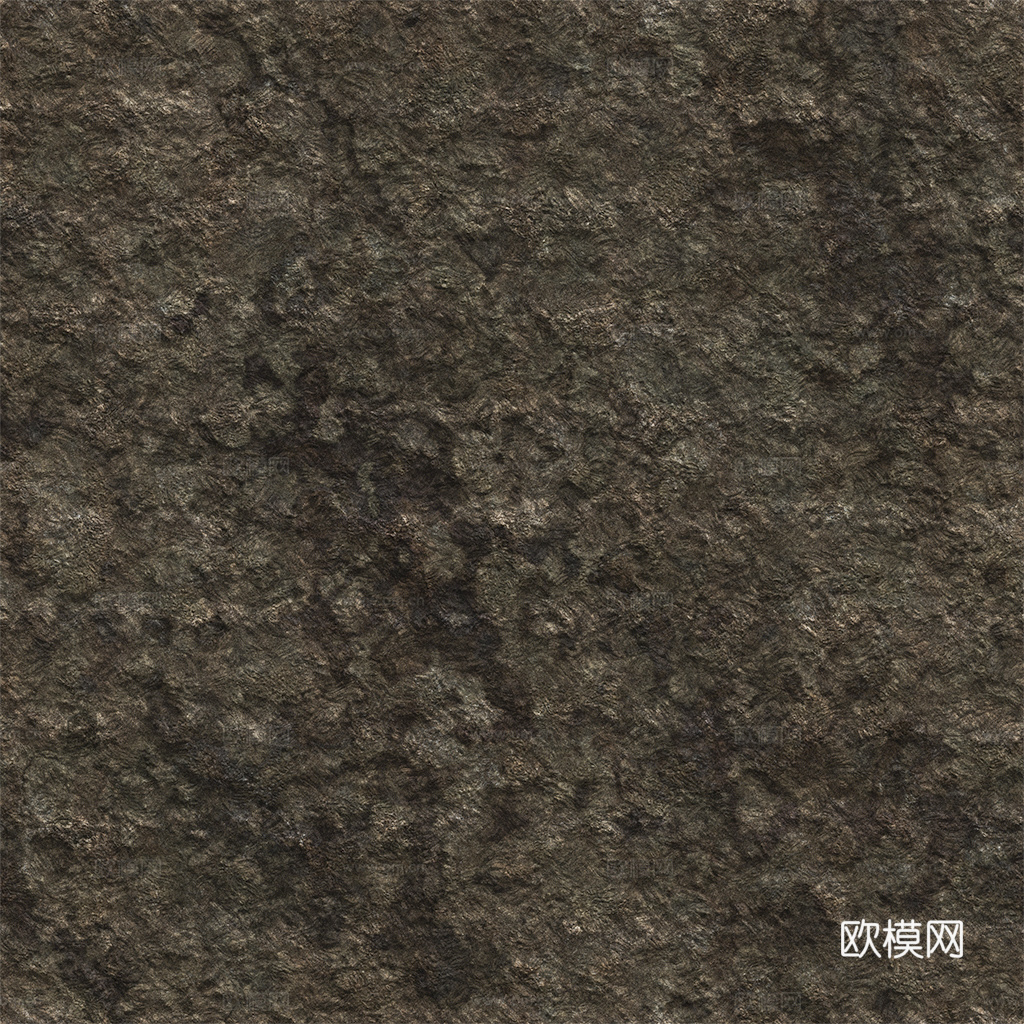 树皮