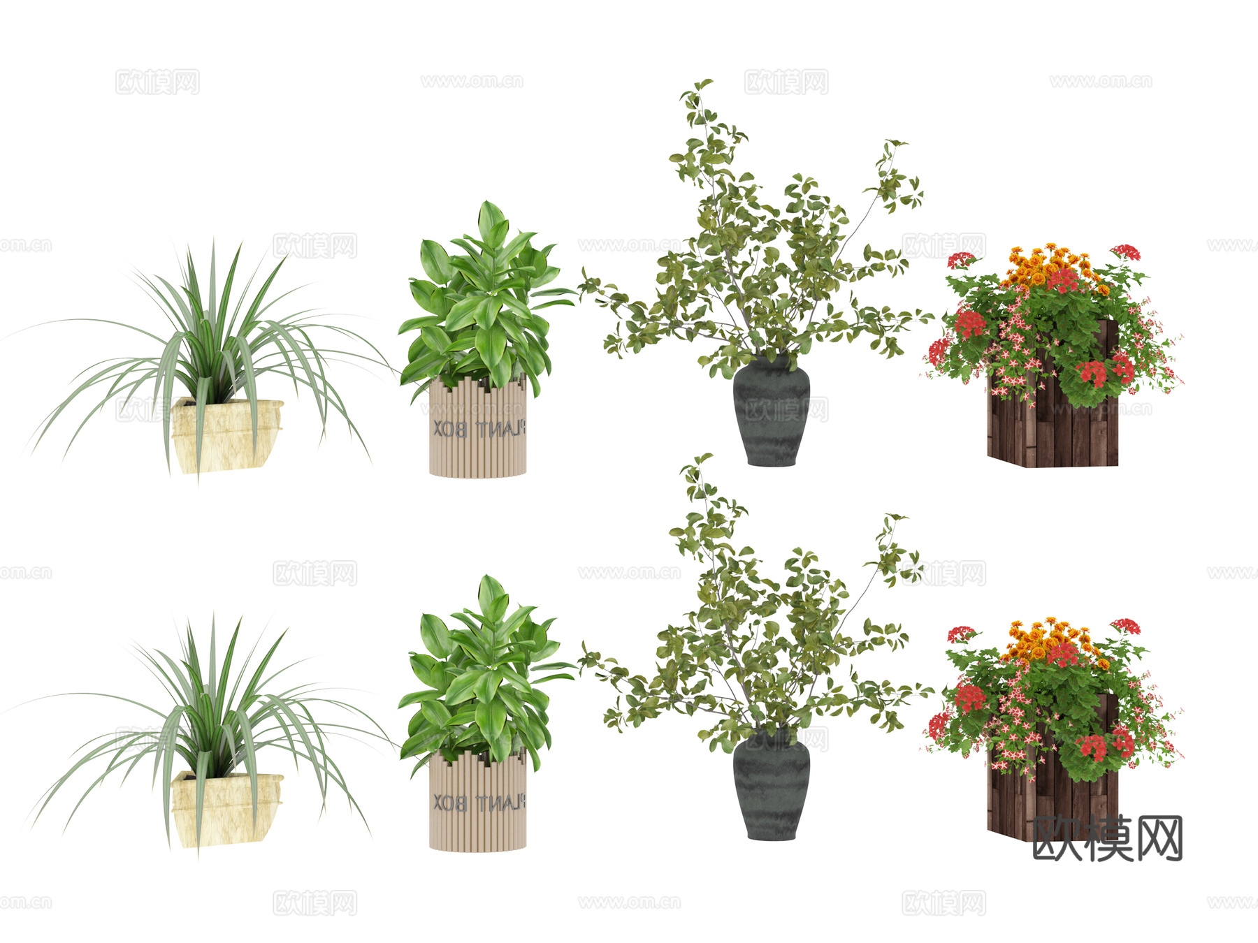 绿色植物 盆栽3d模型