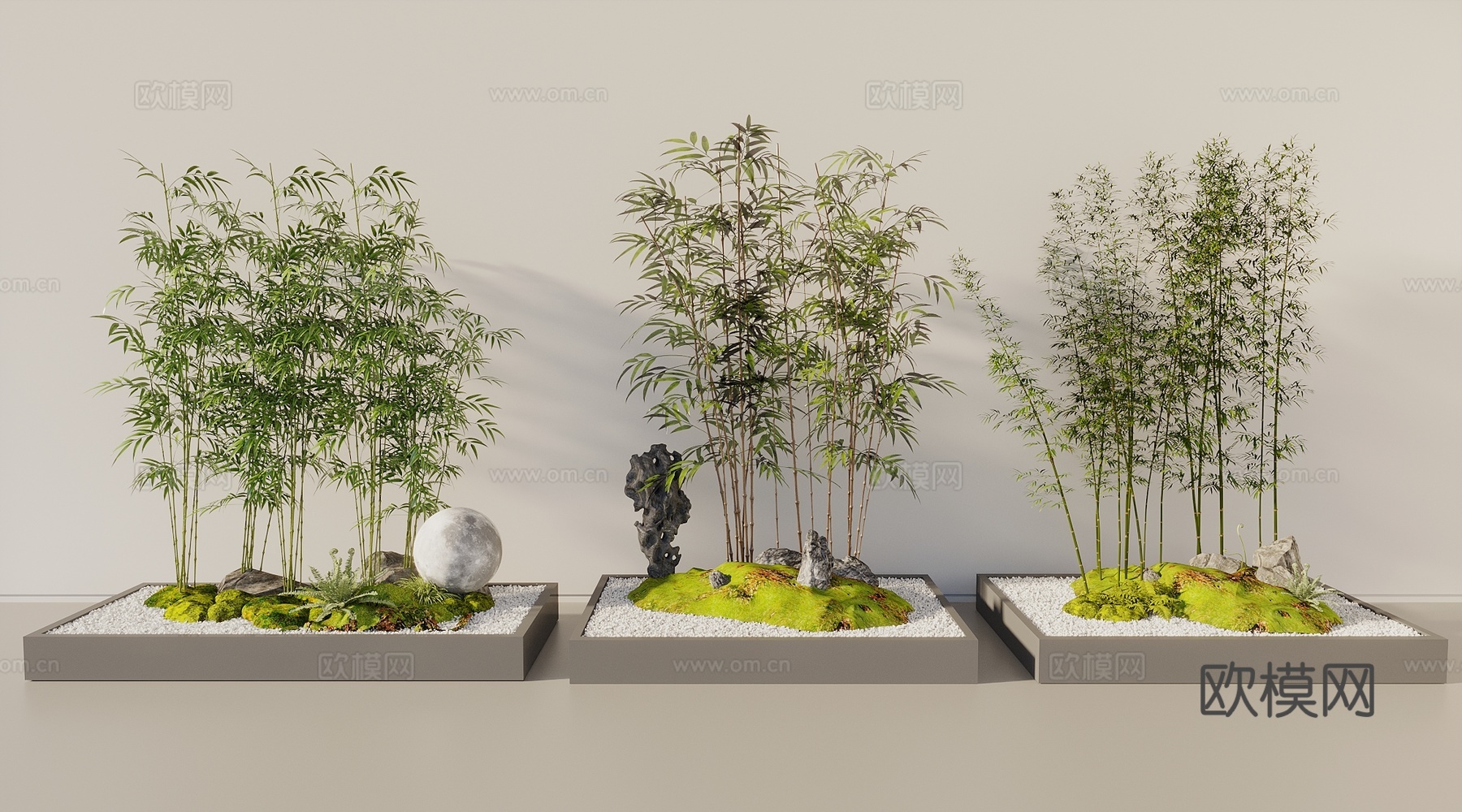 竹子 室内绿竹 庭院竹子 竹子花池3d模型