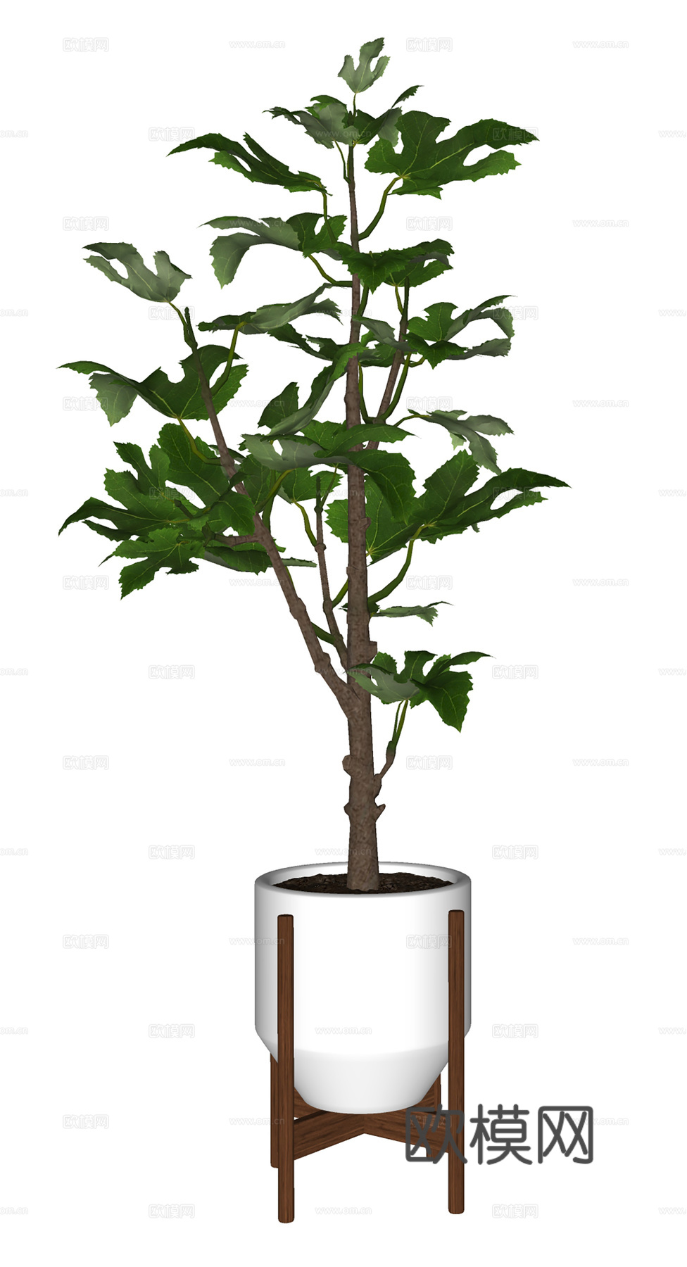 现代盆栽盆景  室内盆栽  绿植盆栽su模型