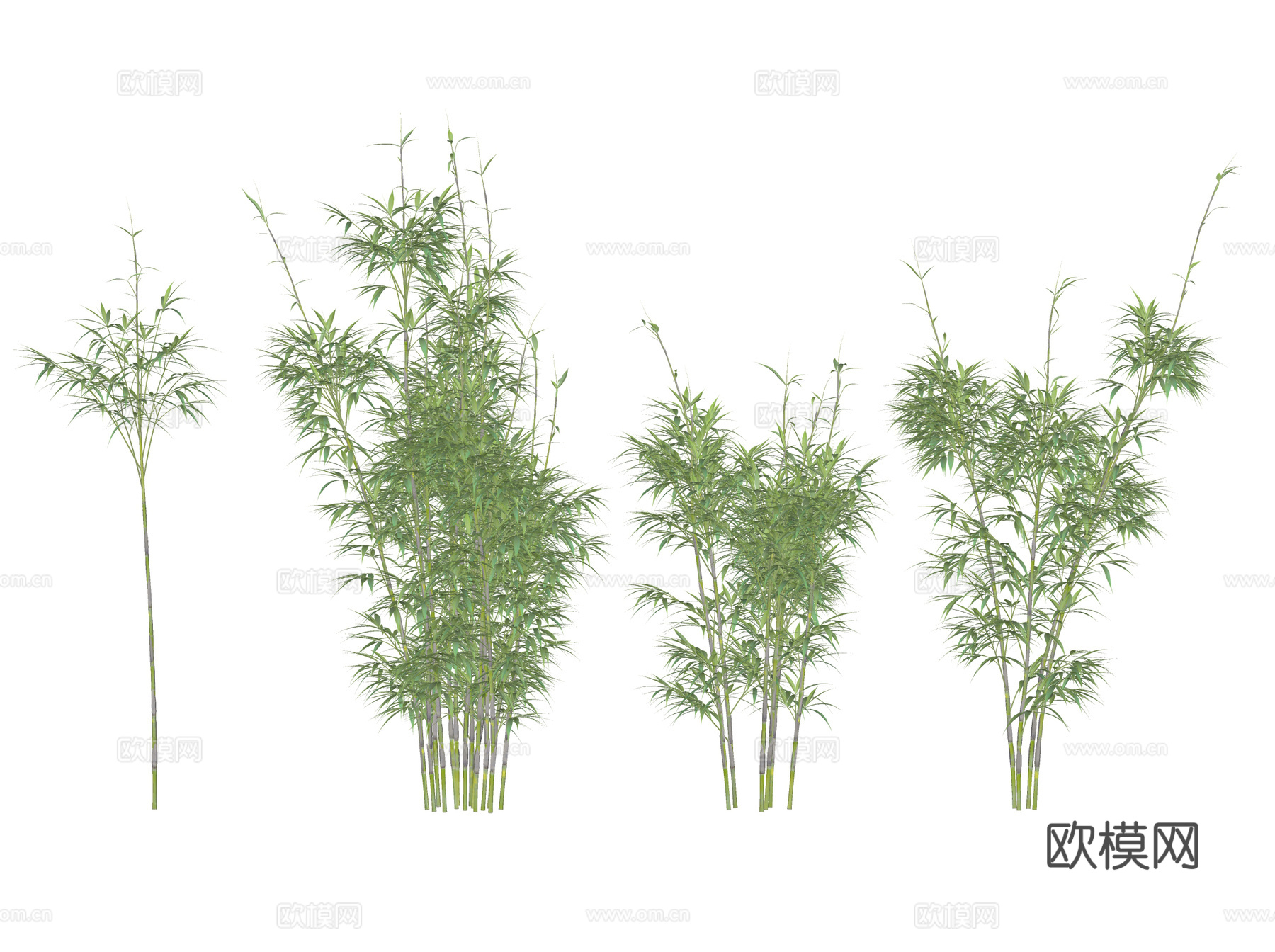 新中式景观竹子 景观竹 竹子 园艺竹子su模型