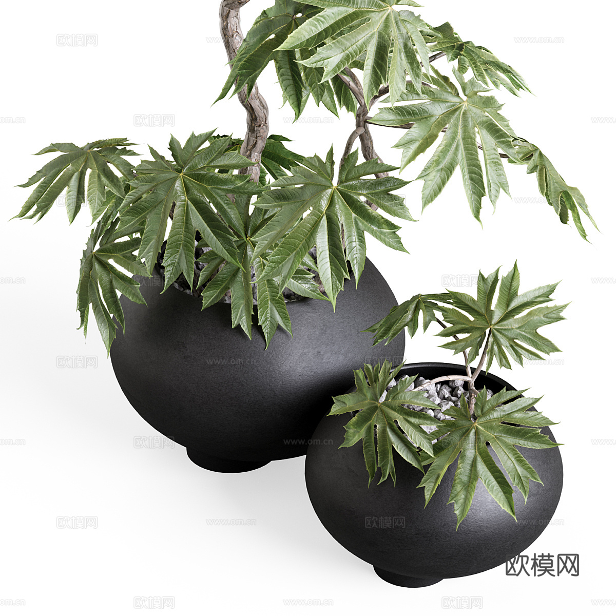 新中式侘寂绿植盆栽3d模型