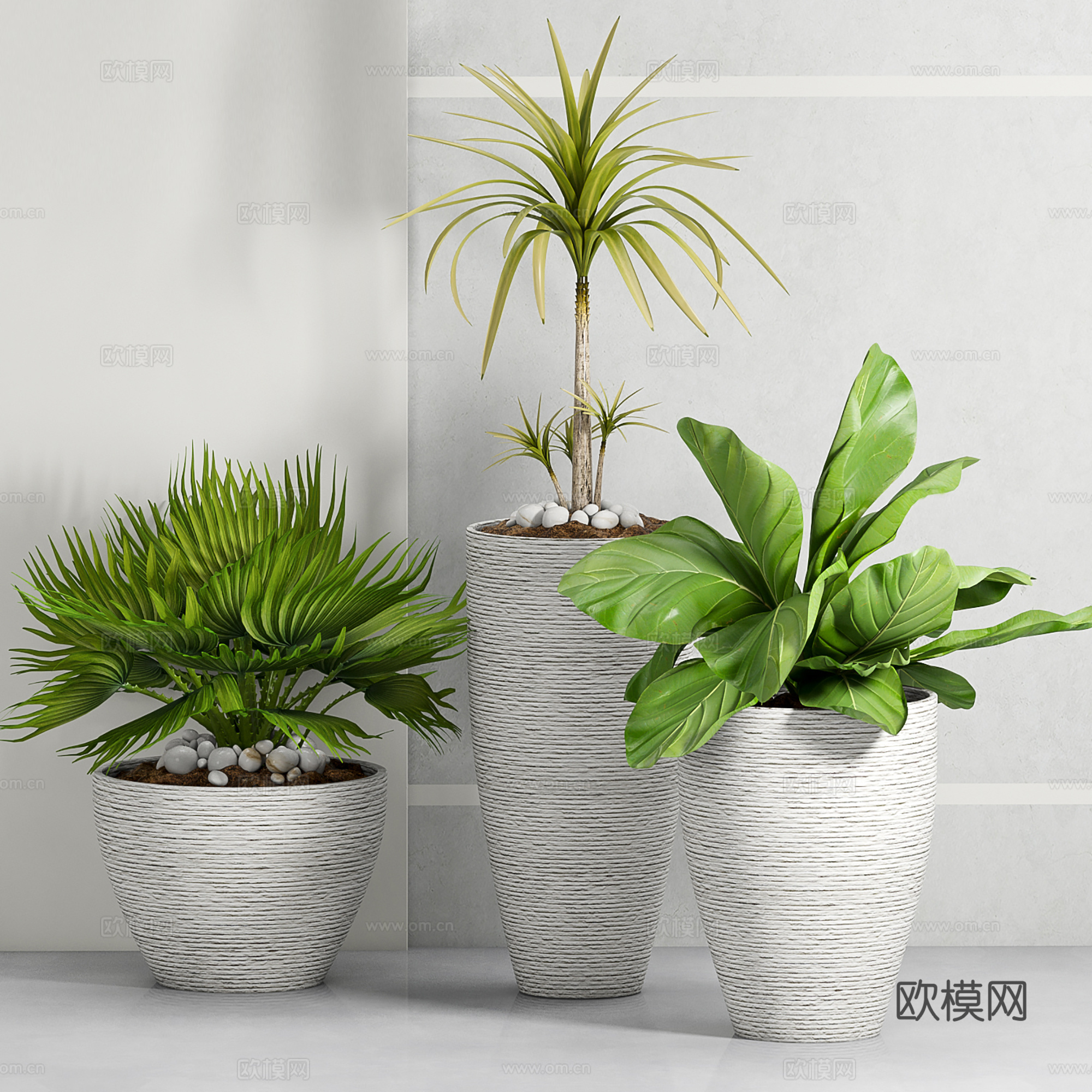 现代盆栽盆景  室内盆栽  绿植盆栽su模型